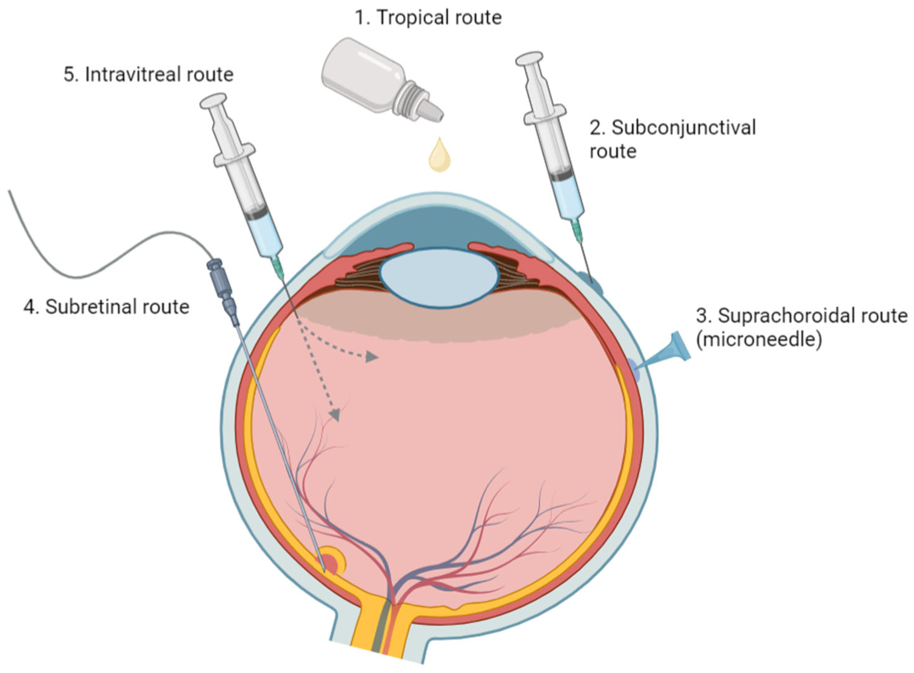 Polymers 16 01717 g002