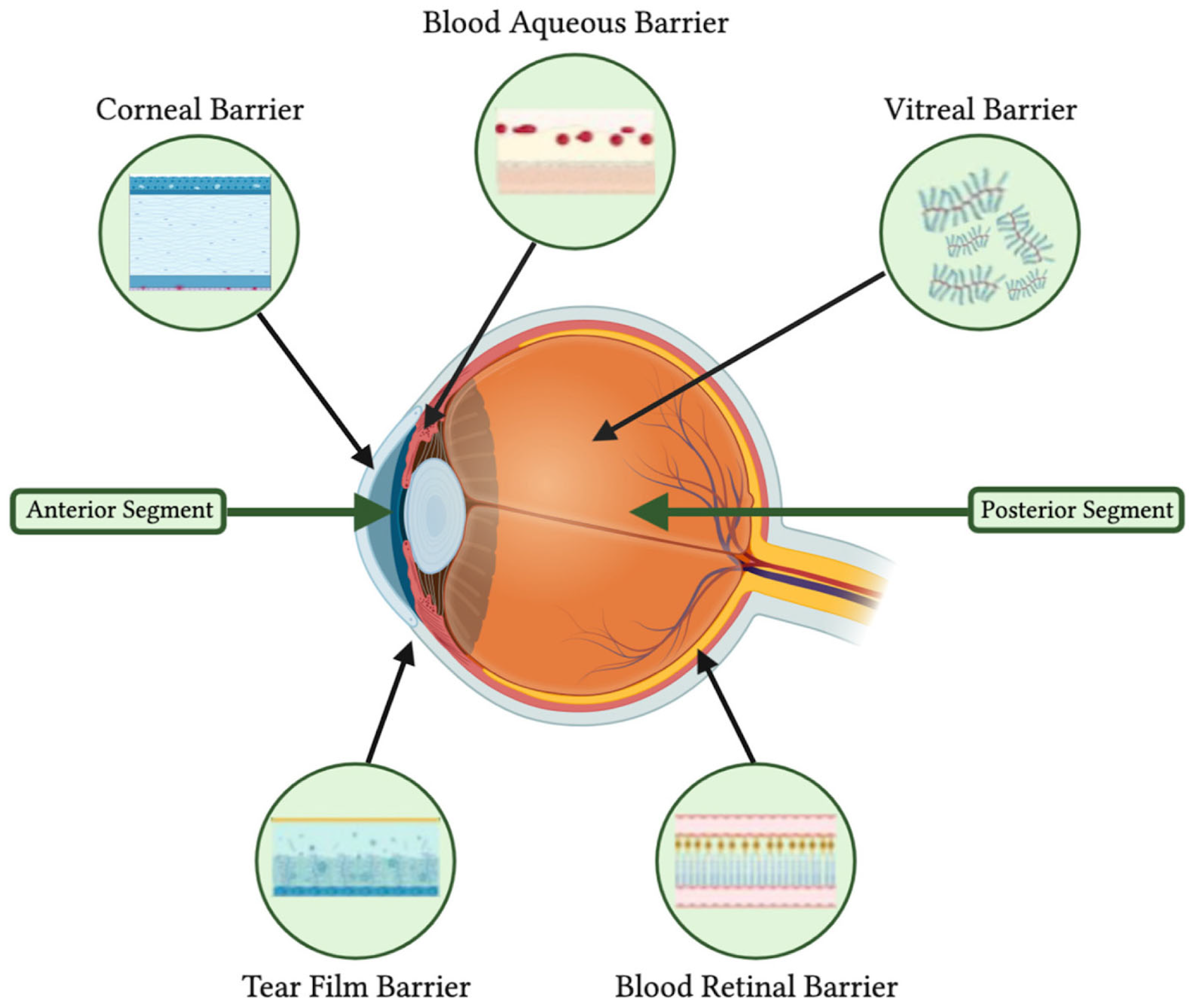 Polymers 16 01717 g003