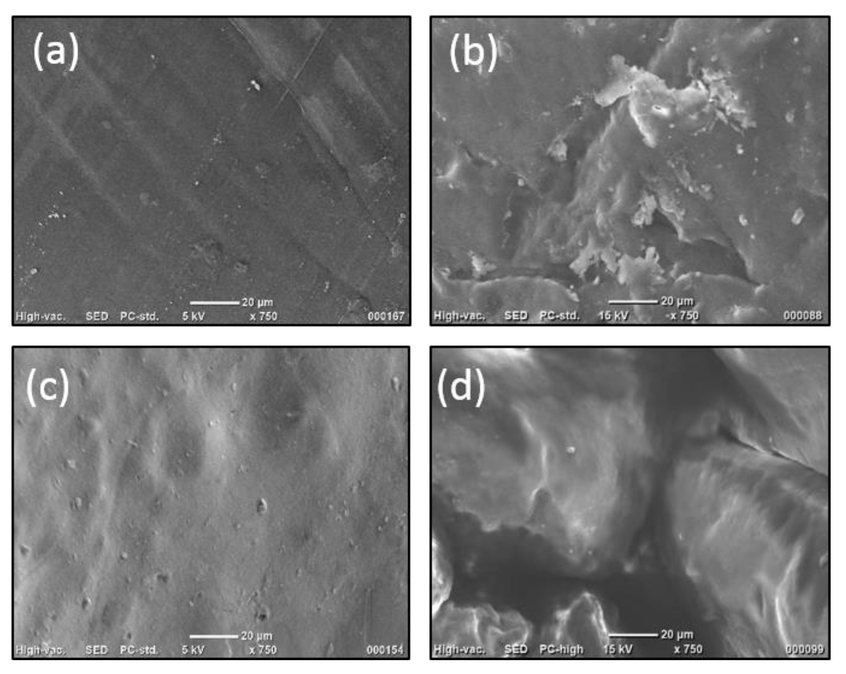 Polymers 16 01718 g003