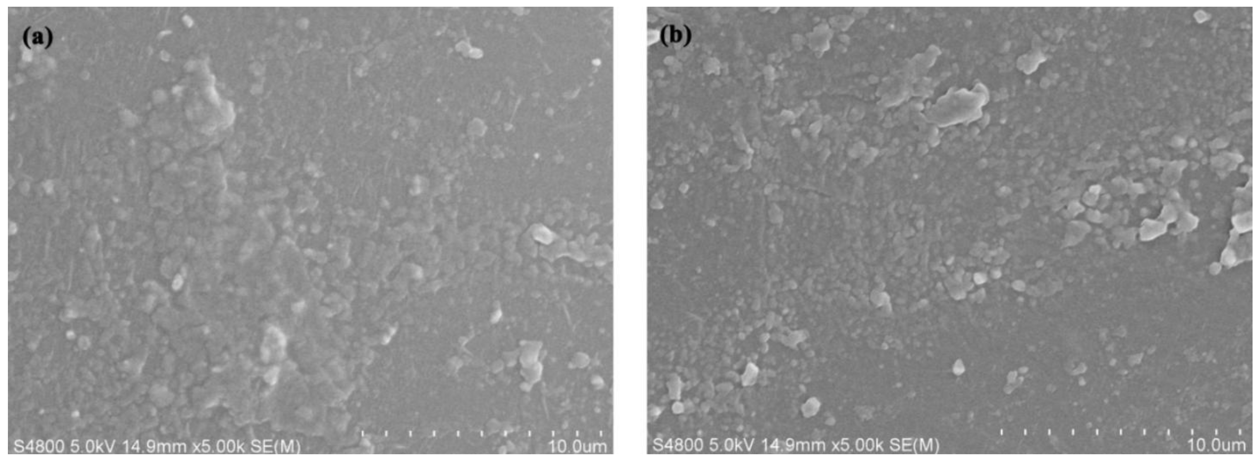 Polymers 16 01719 g007
