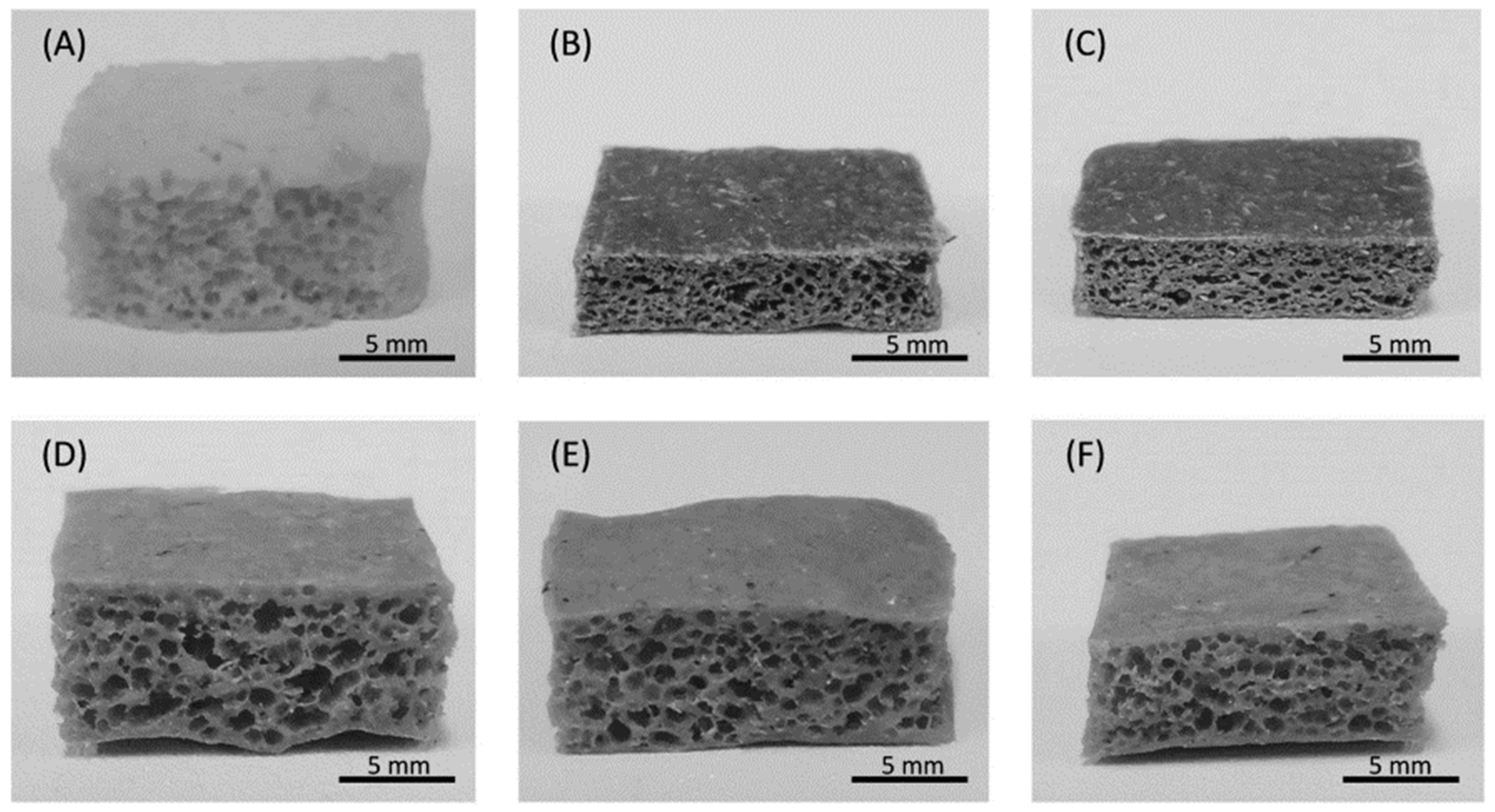 Polymers 16 01720 g009