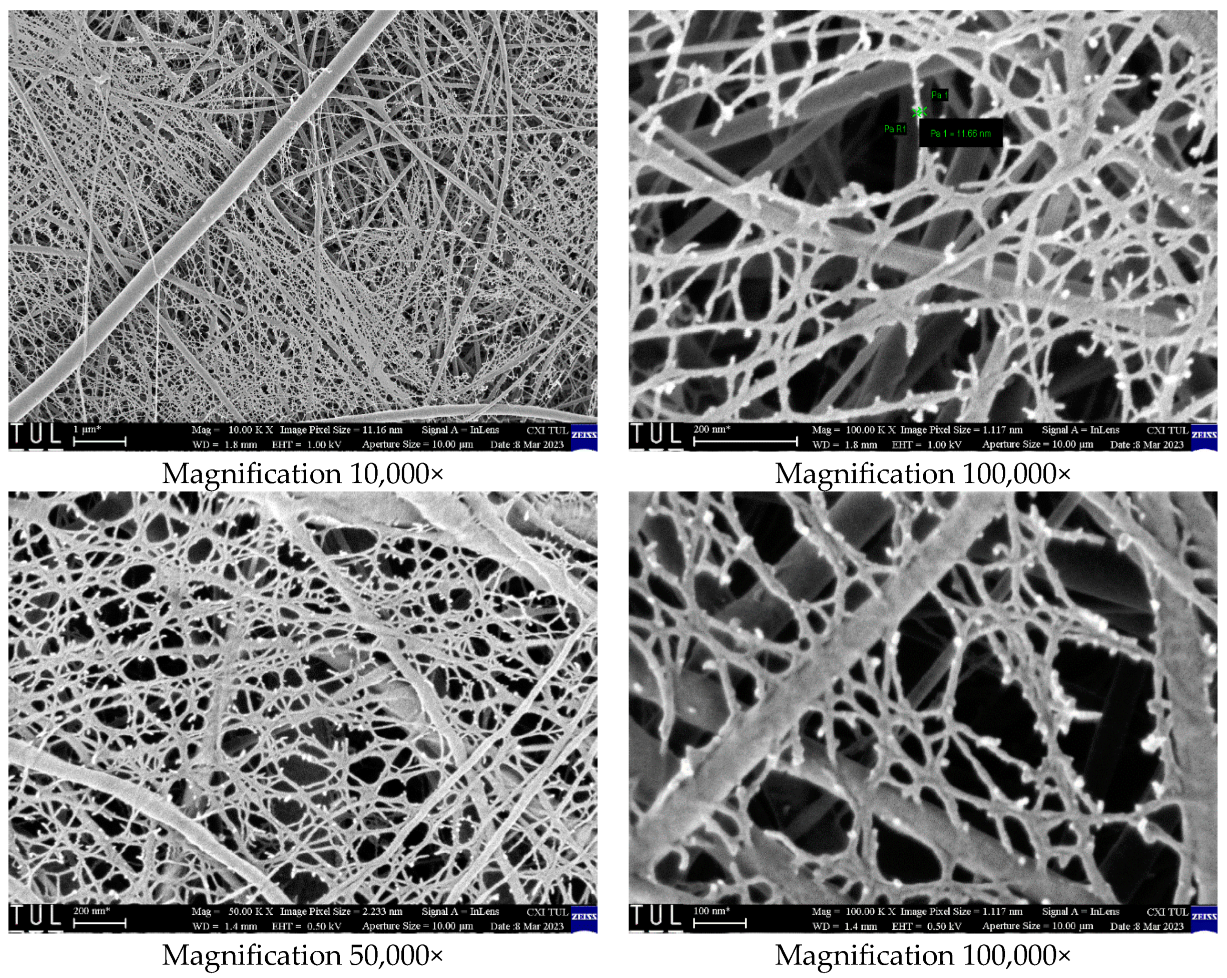 Polymers 16 01721 g004