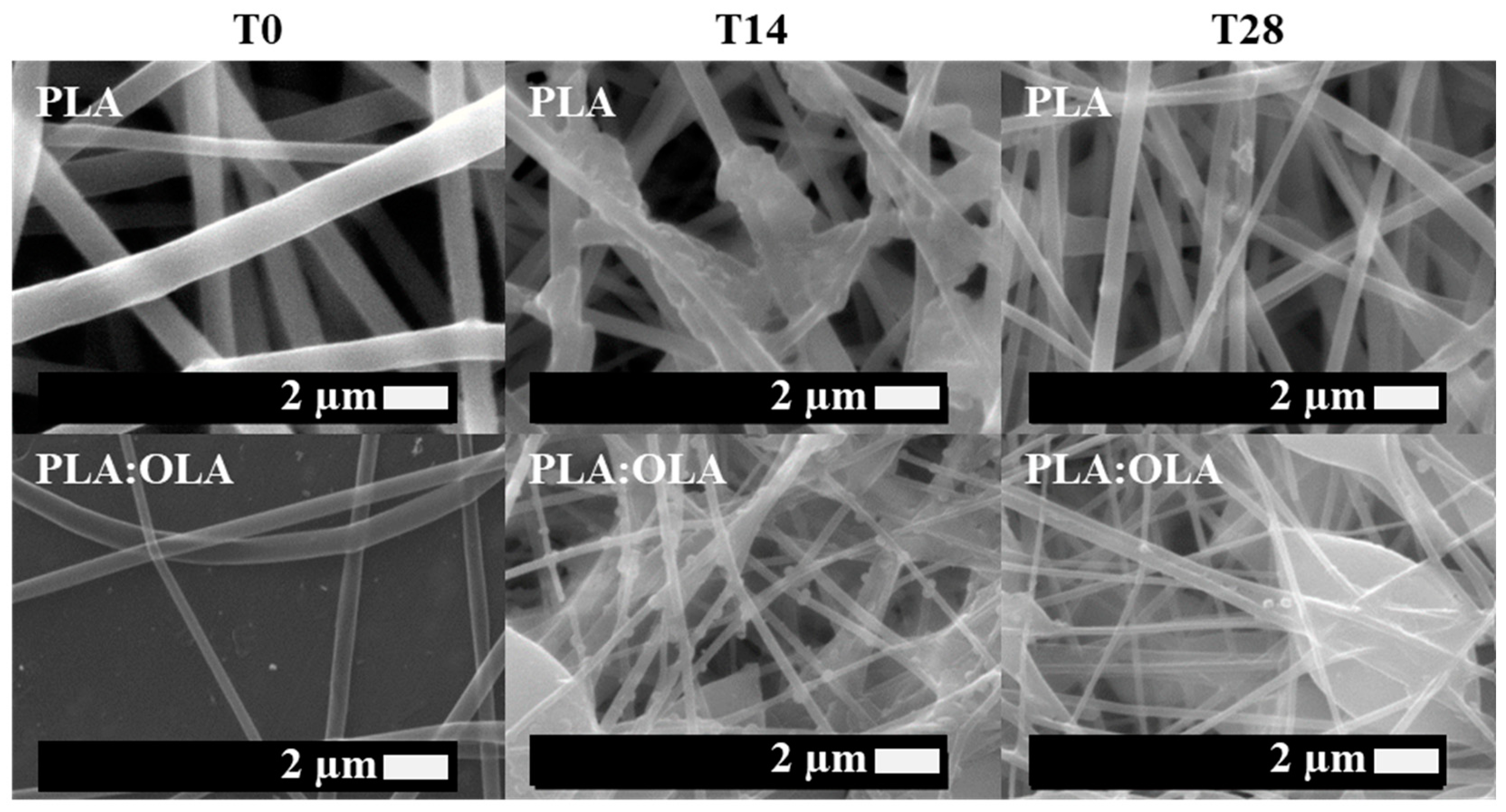 Polymers 16 01727 g001