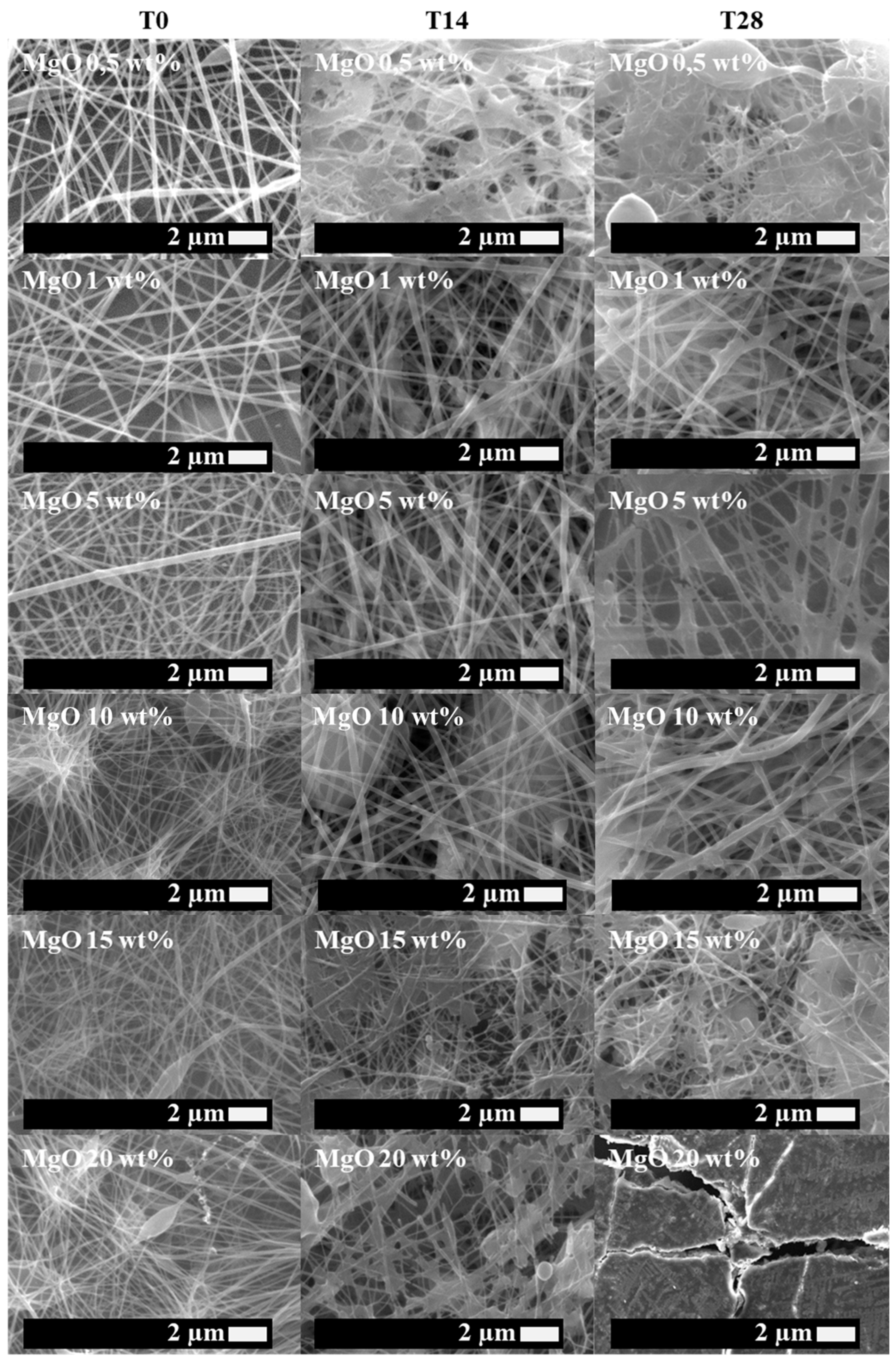 Polymers 16 01727 g002