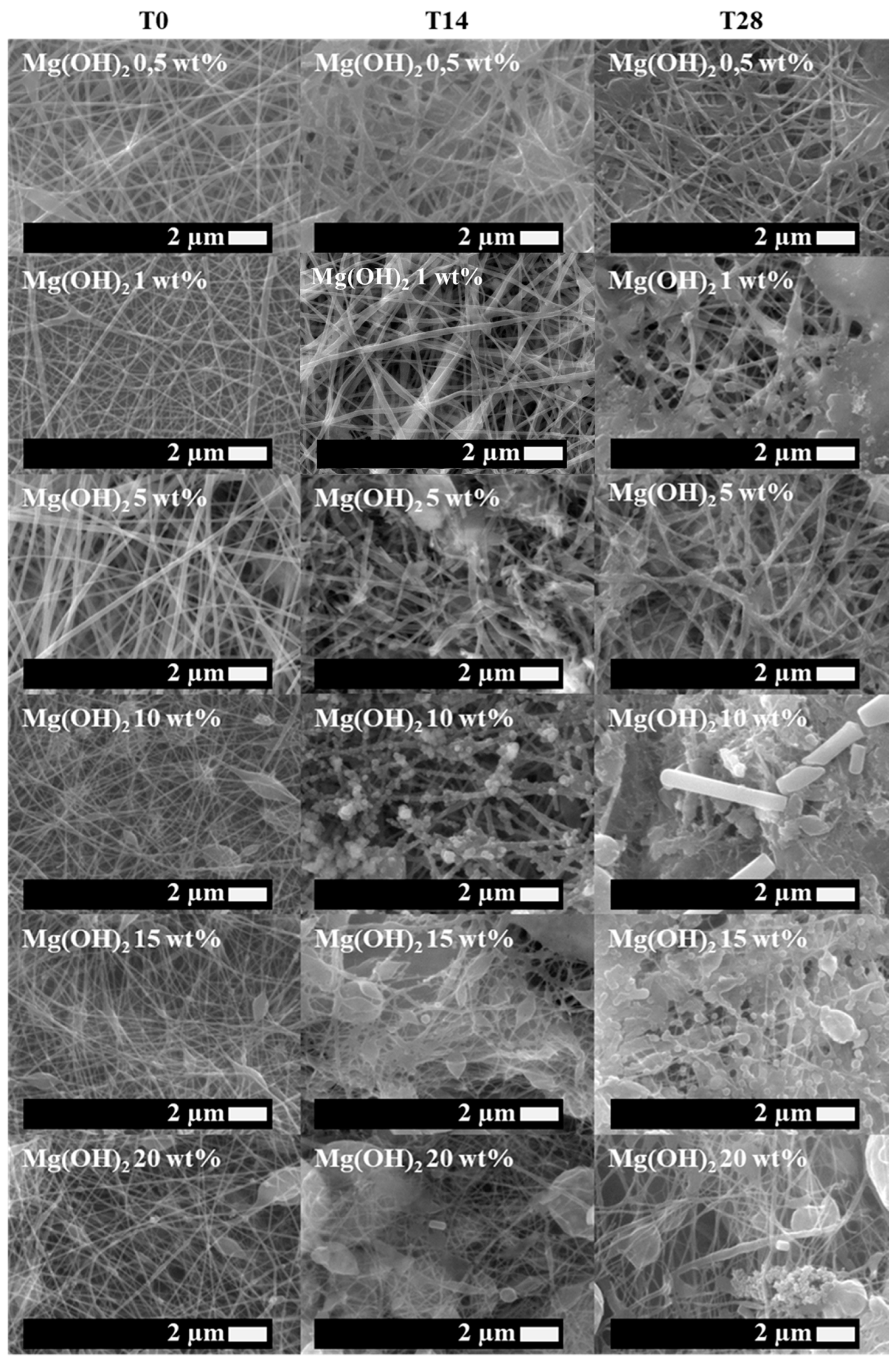 Polymers 16 01727 g003