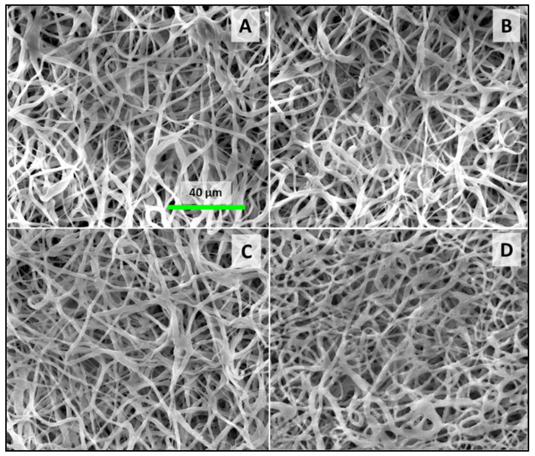 Polymers 16 01729 g002