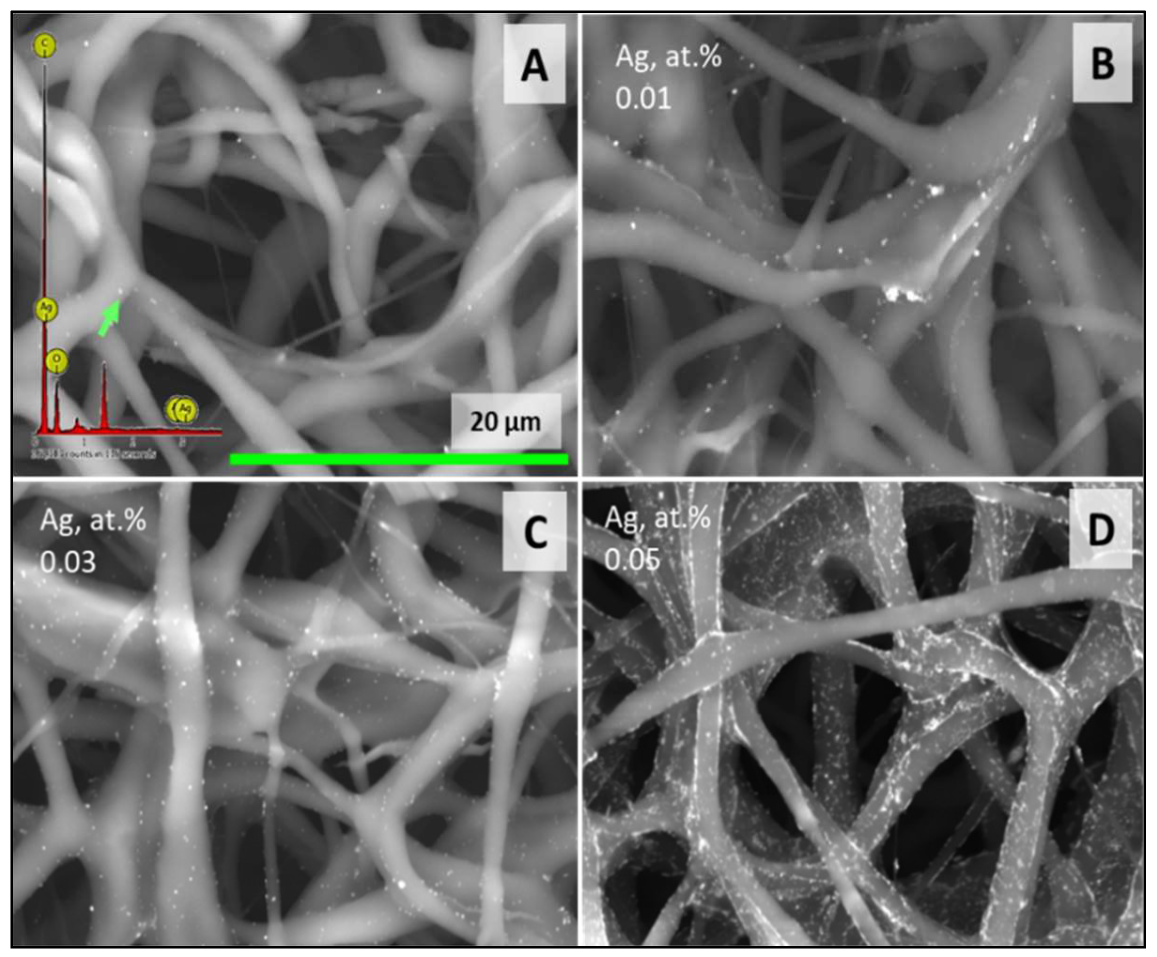 Polymers 16 01729 g004