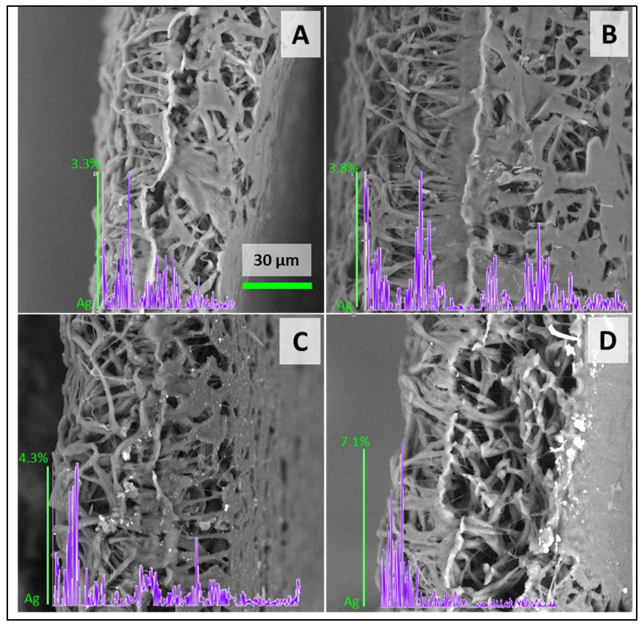 Polymers 16 01729 g005