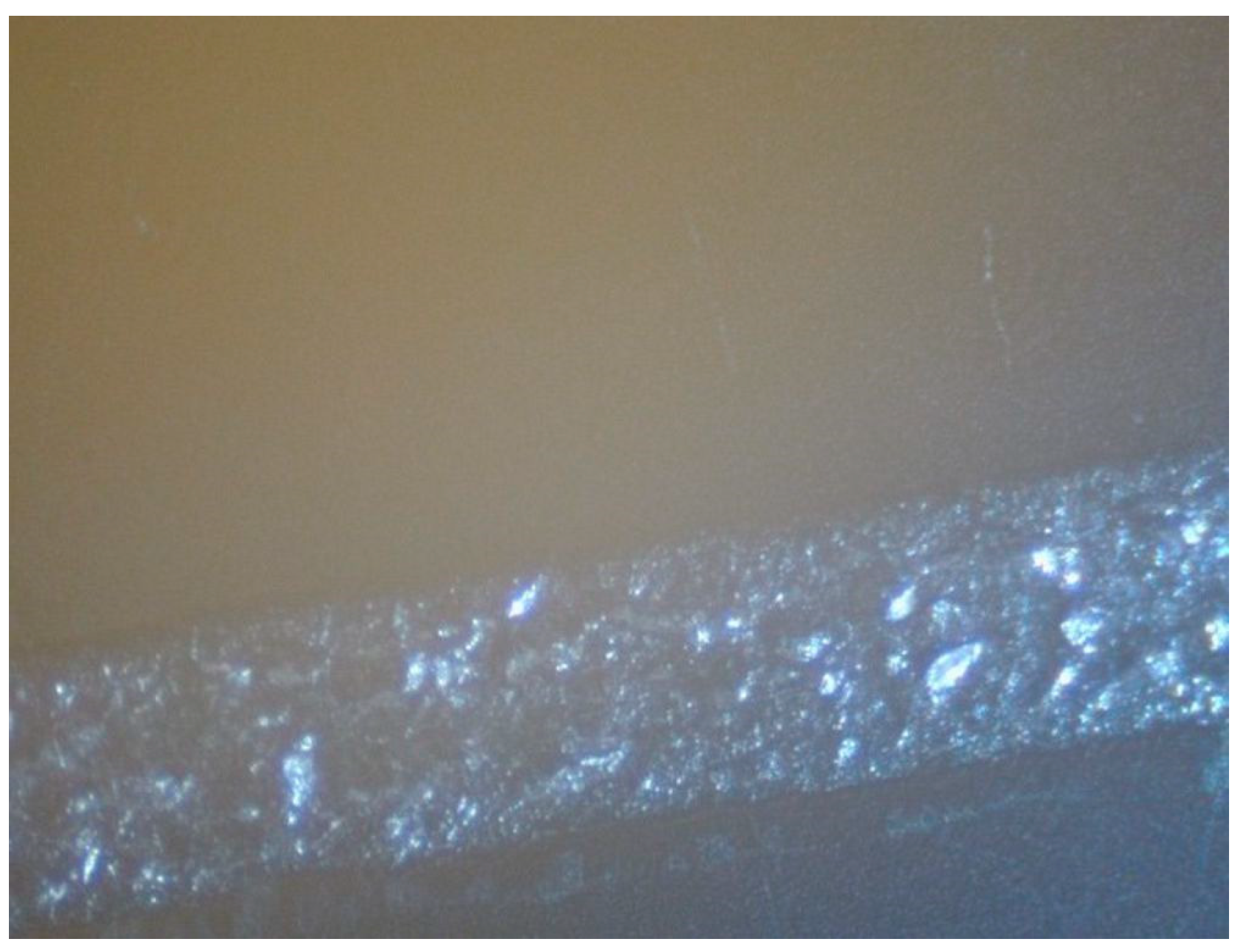 Polymers 16 01731 g004