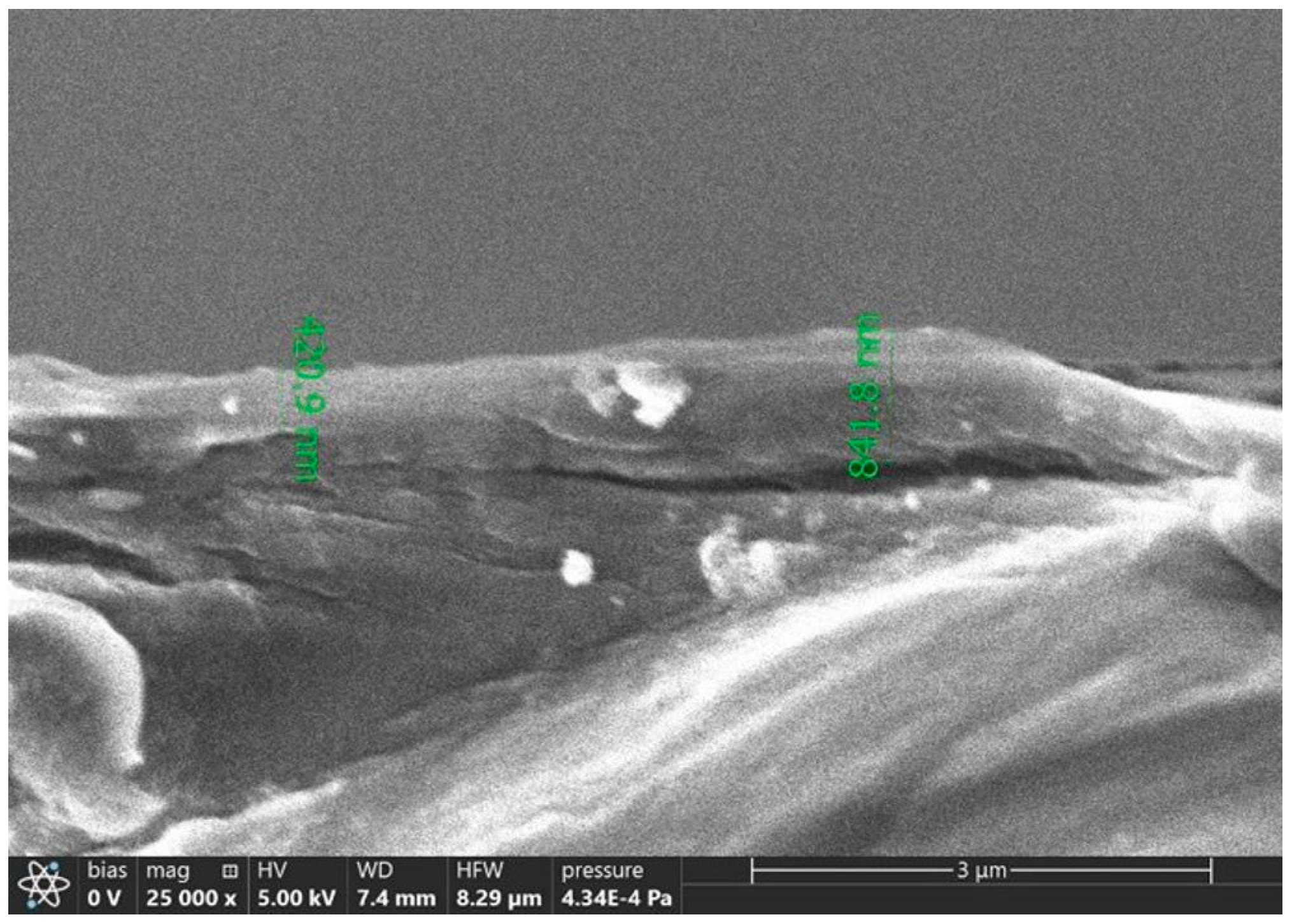 Polymers 16 01731 g005