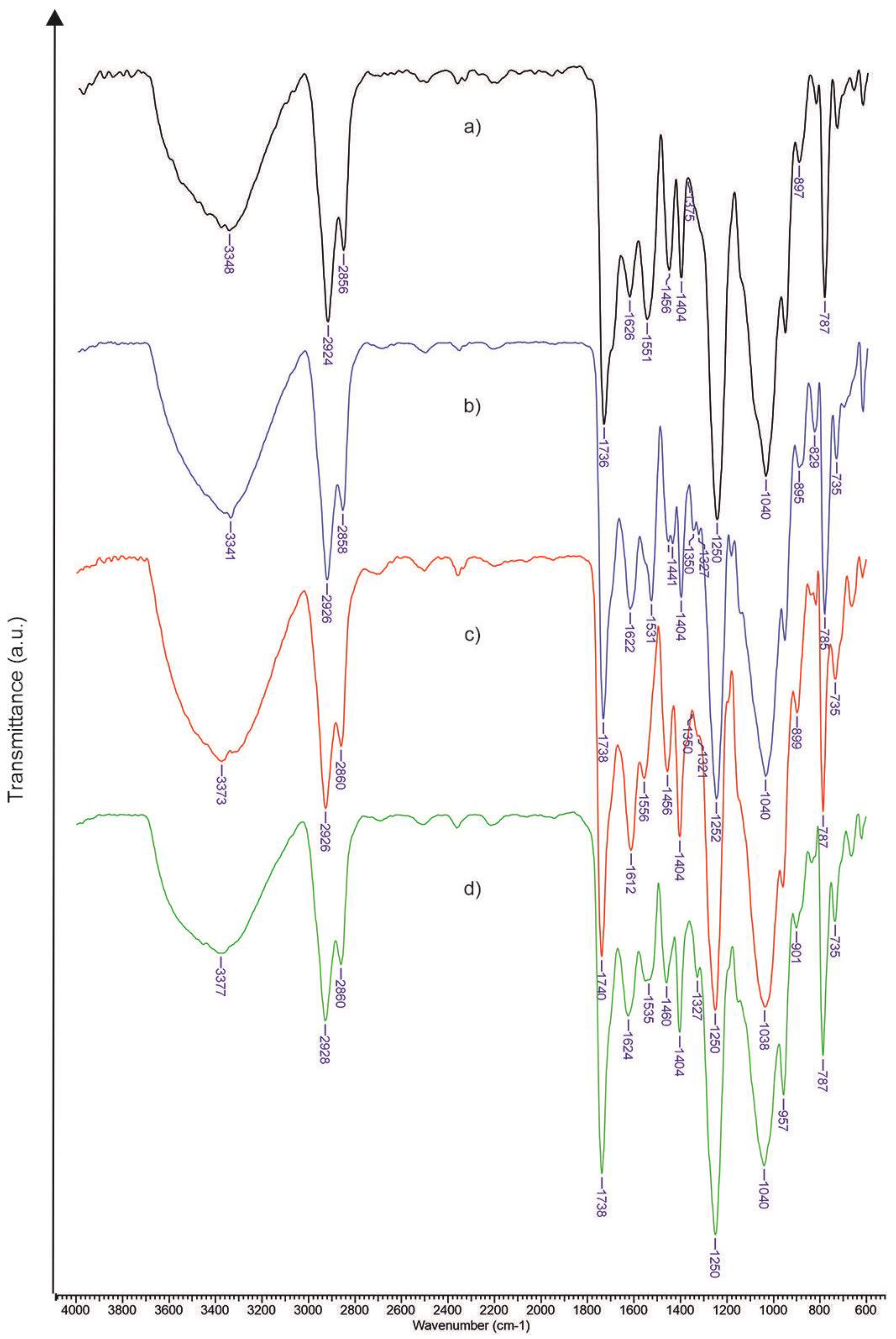Polymers 16 01734 g003