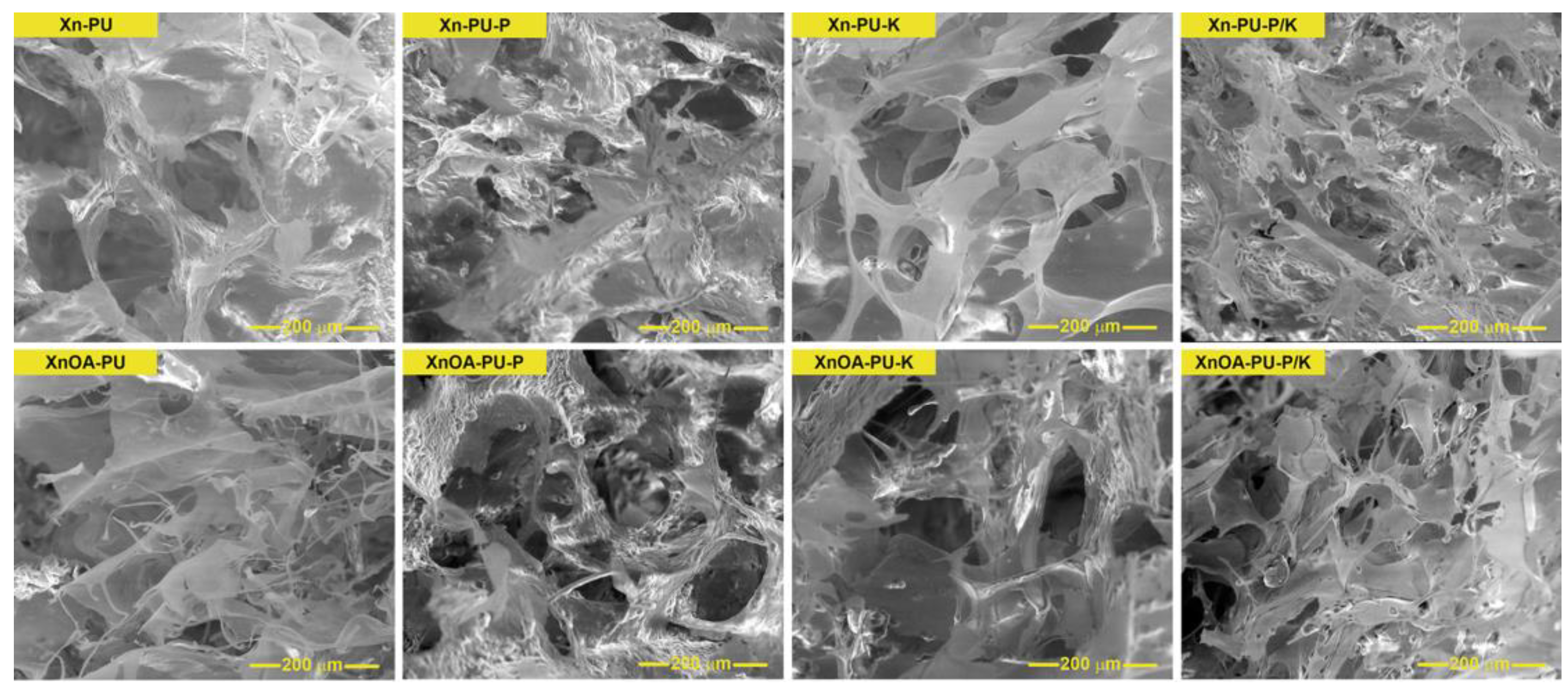 Polymers 16 01734 g007