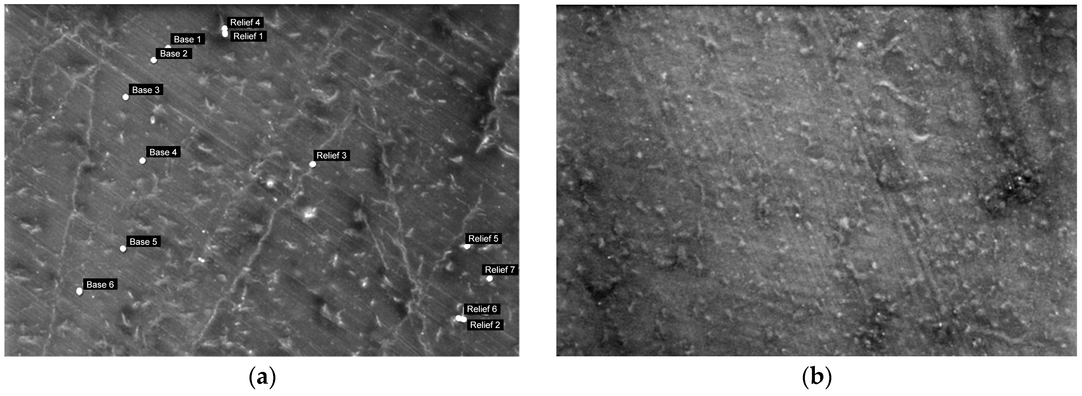 Polymers 16 01739 g008