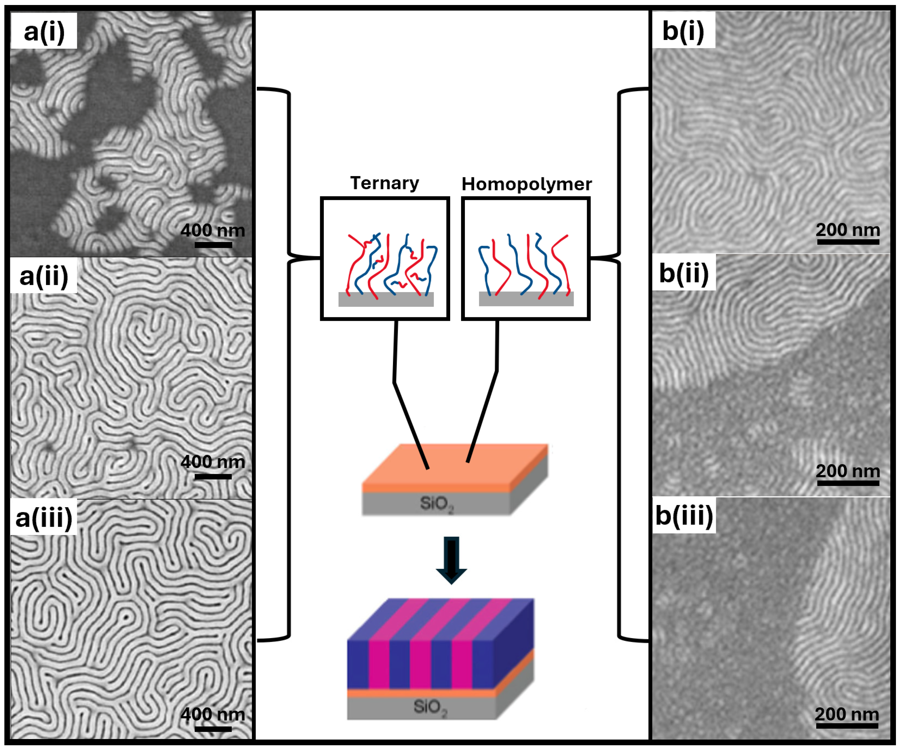 Polymers 16 01740 g008 Polymers 16 01740 g008