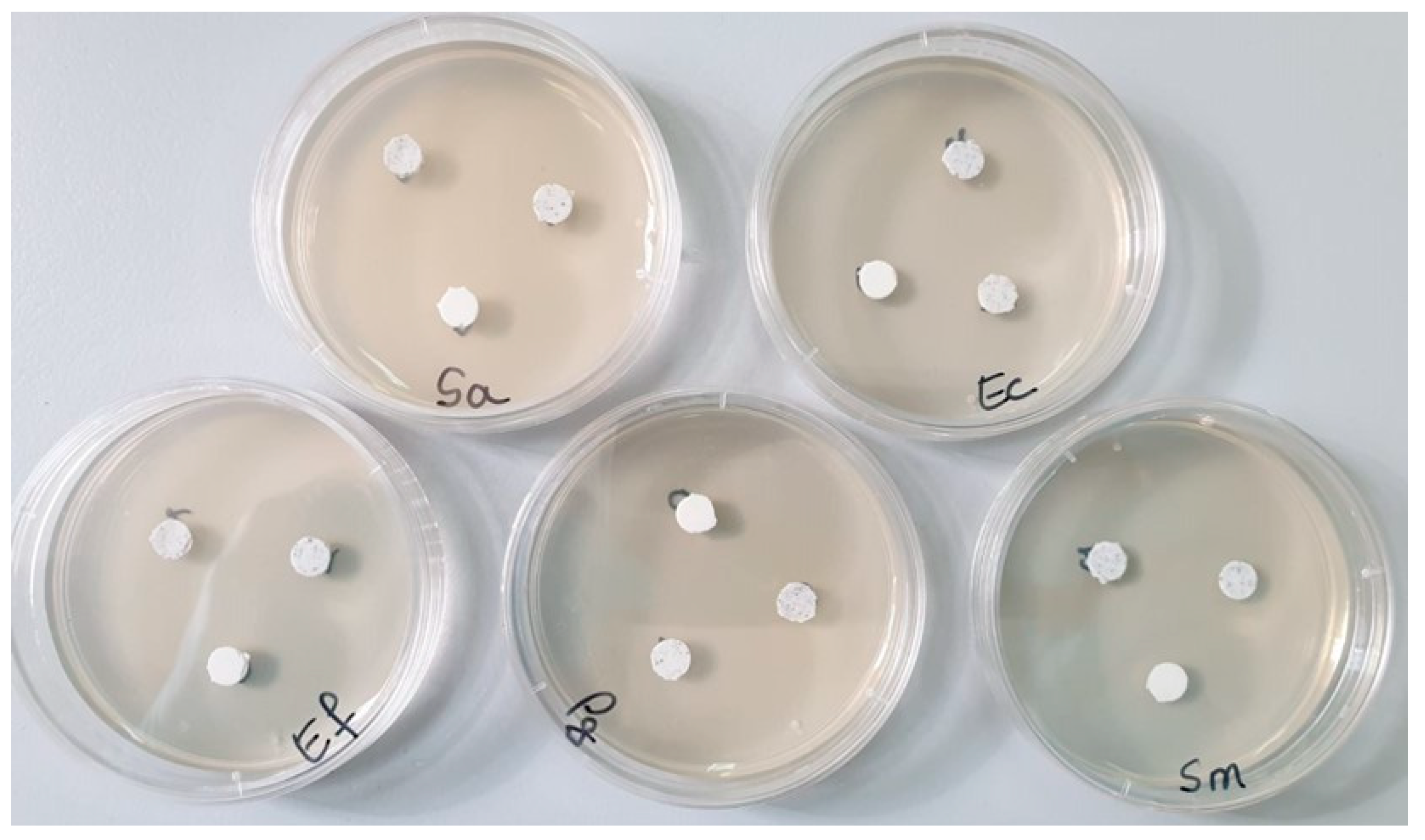 Polymers 16 01743 g001