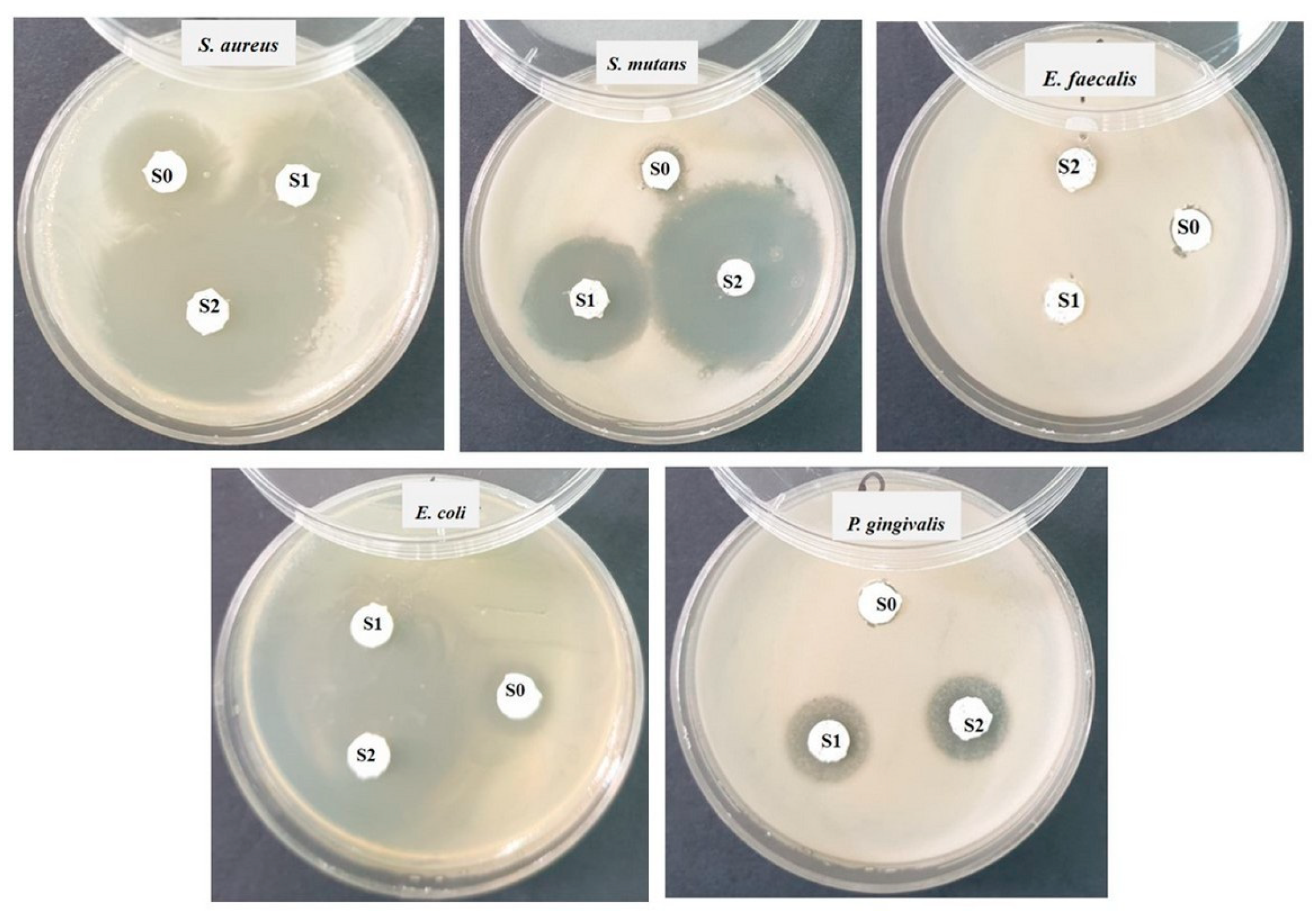 Polymers 16 01743 g009
