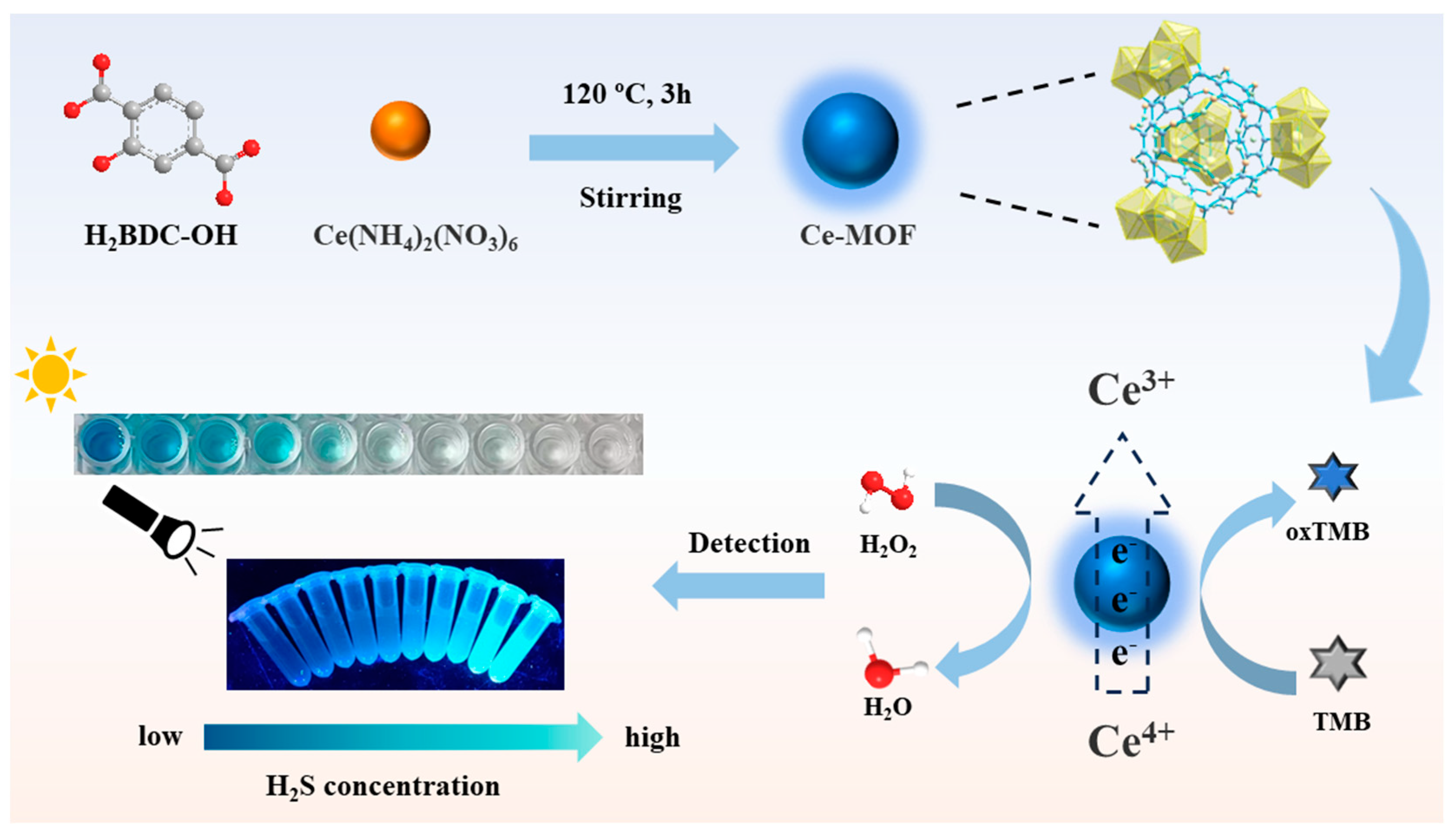 Polymers 16 01747 sch001