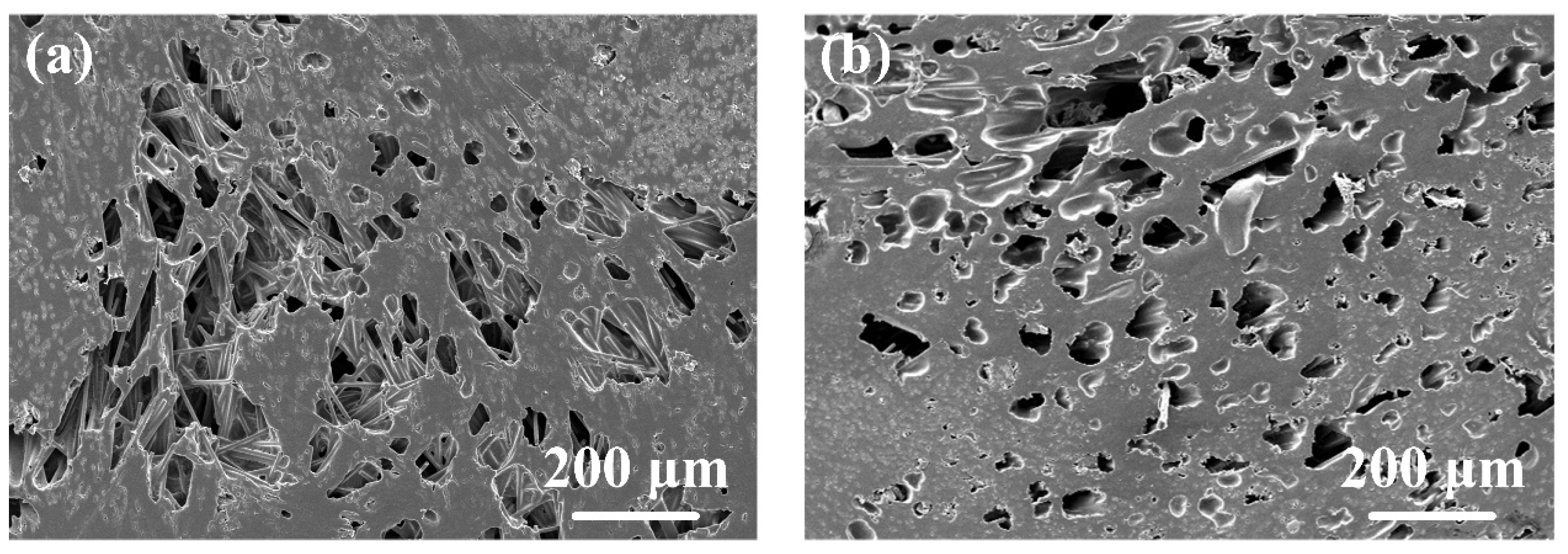 Polymers 16 01749 g008