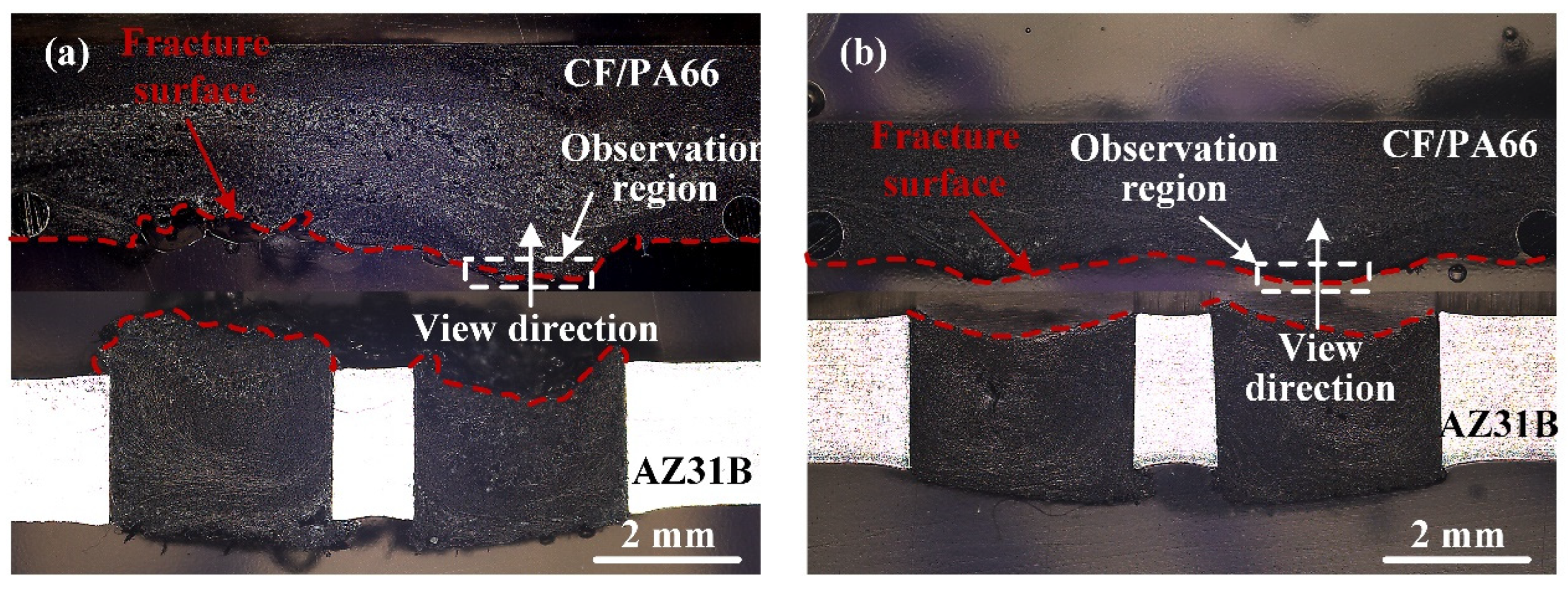 Polymers 16 01749 g013