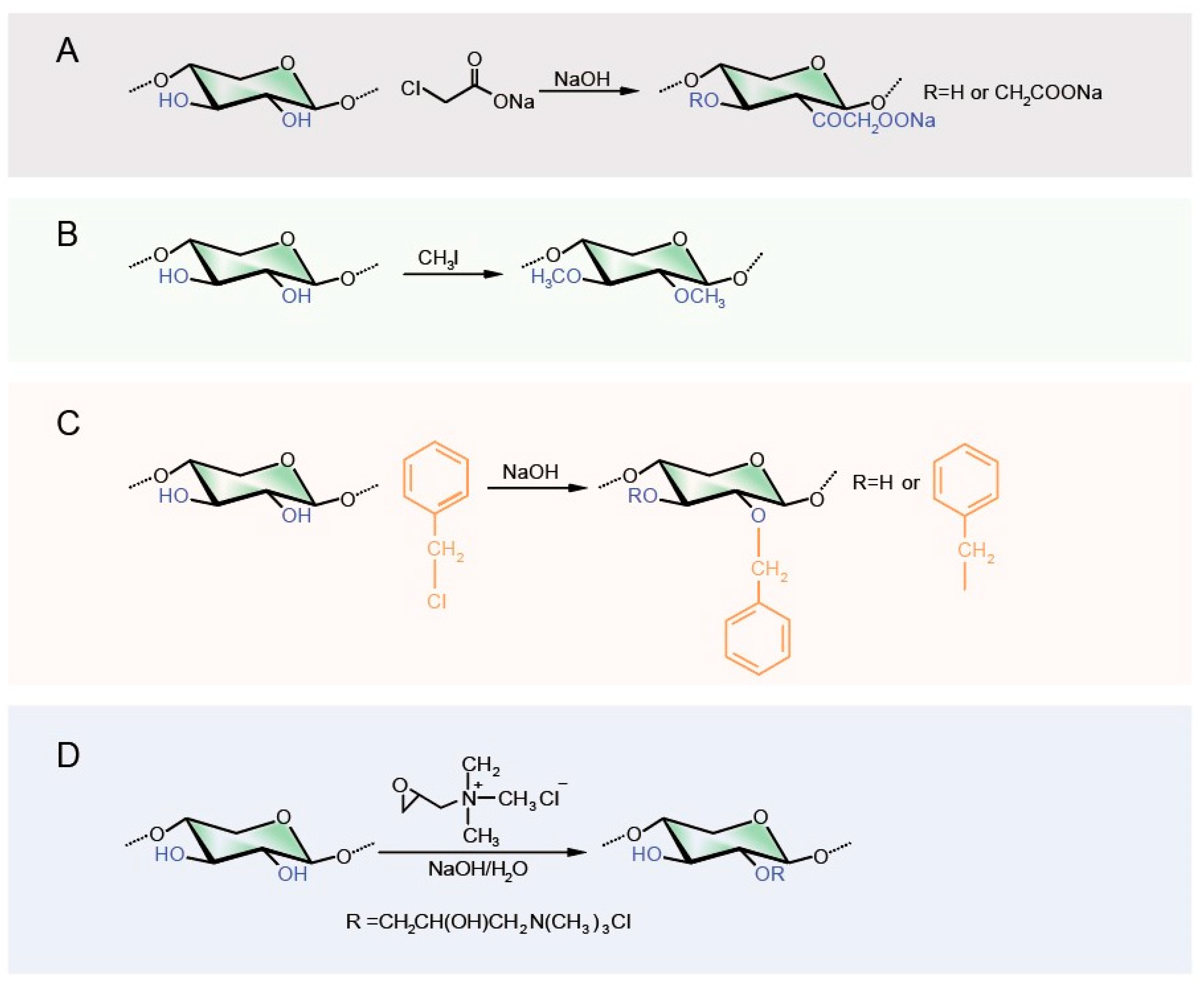 Polymers 16 01750 g002