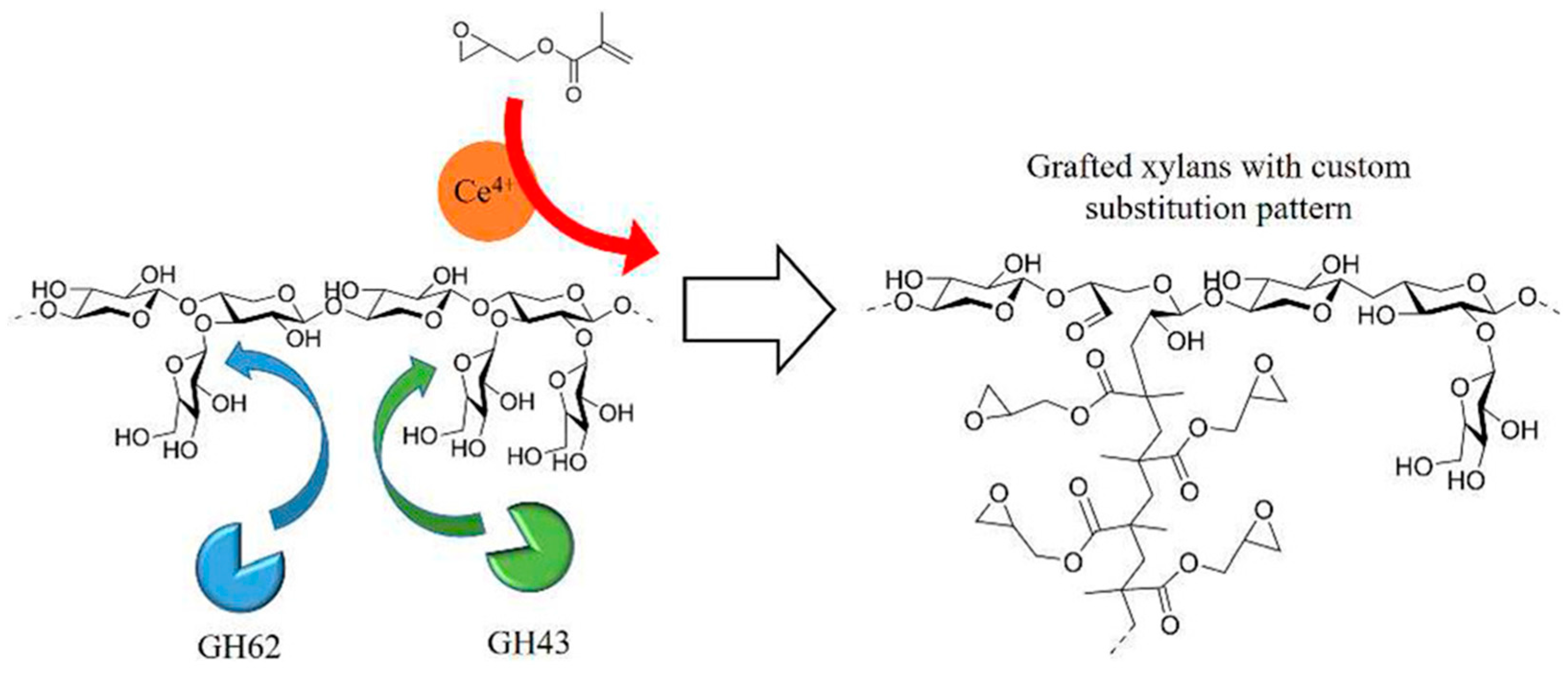 Polymers 16 01750 g004