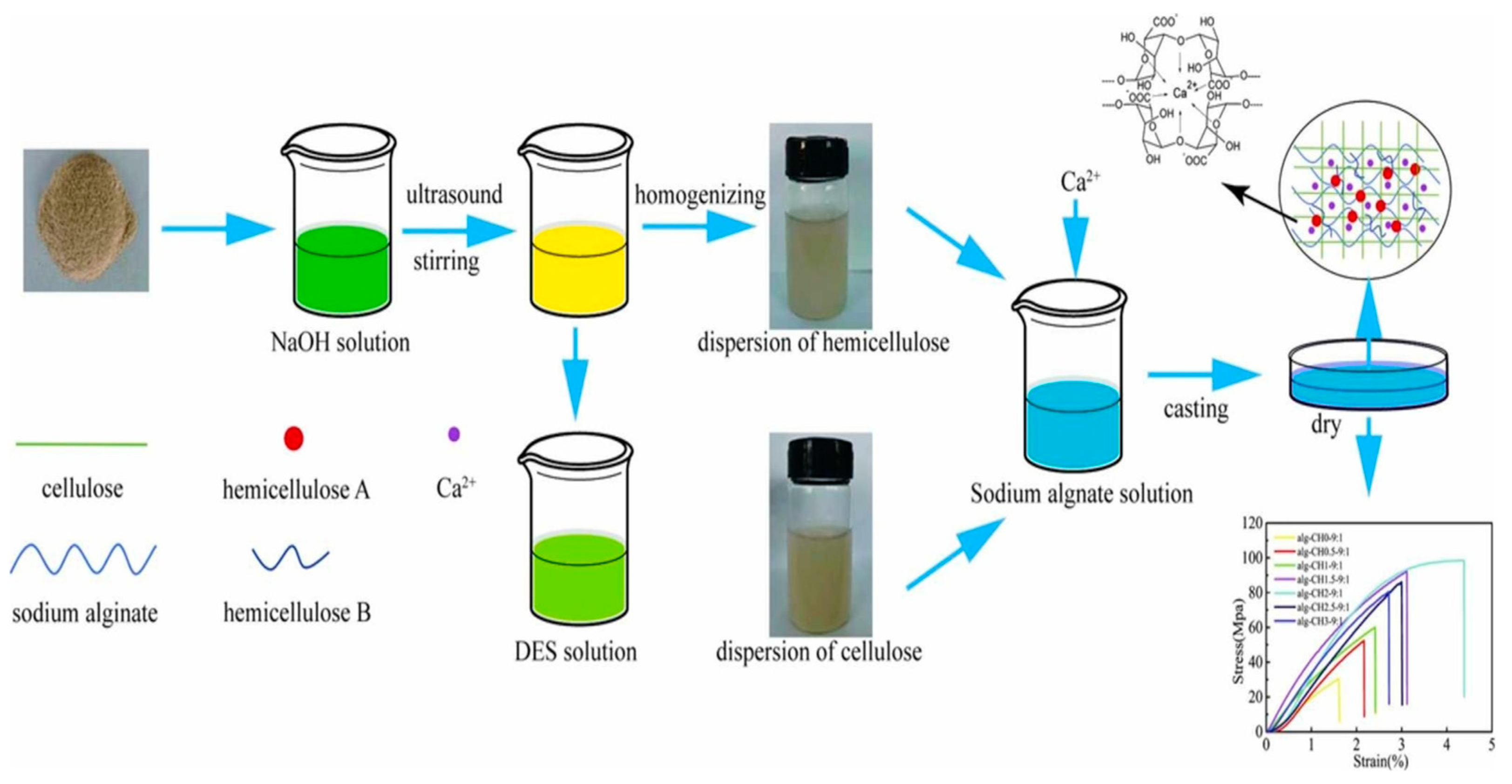 Polymers 16 01750 g005