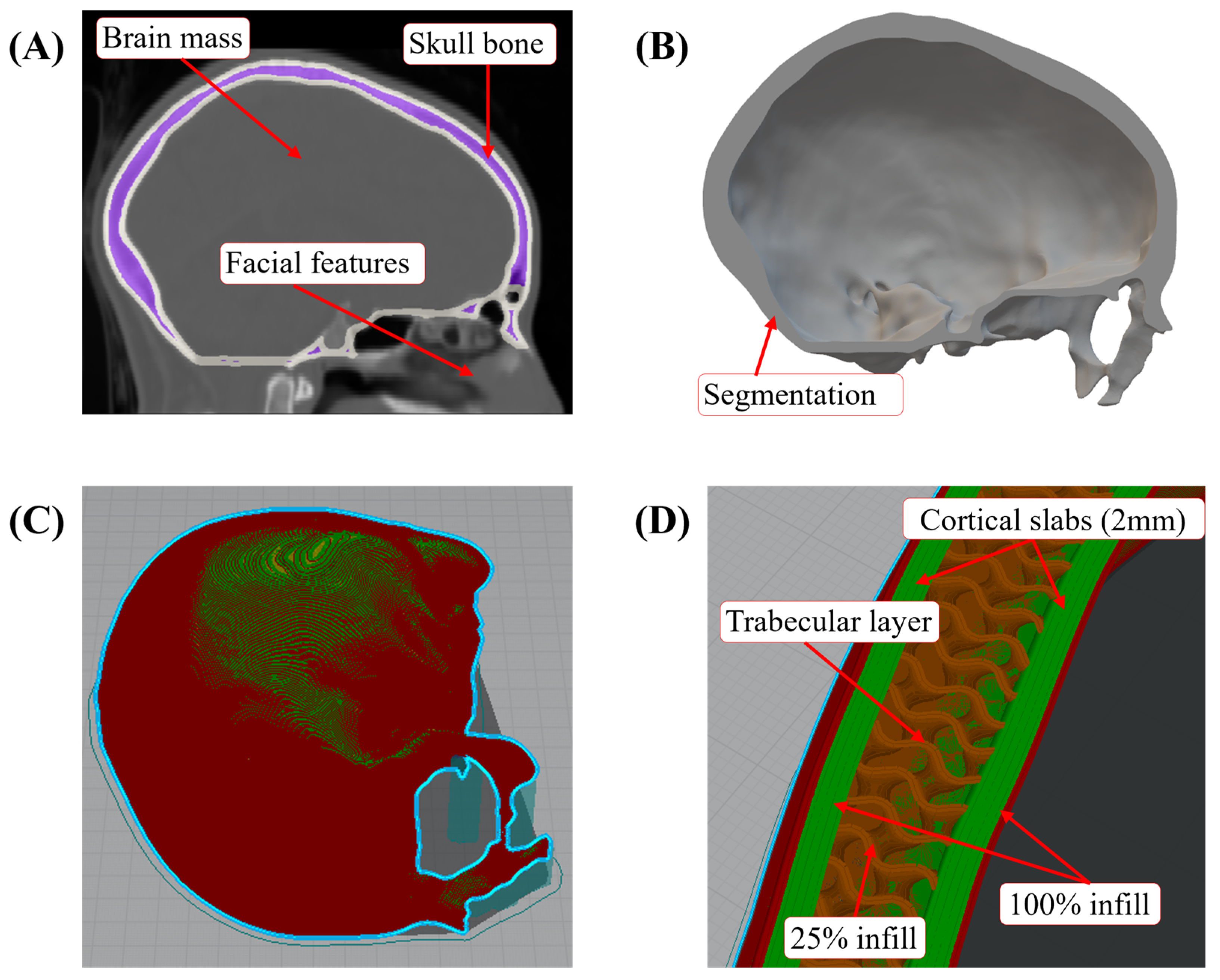 Polymers 16 01753 g001