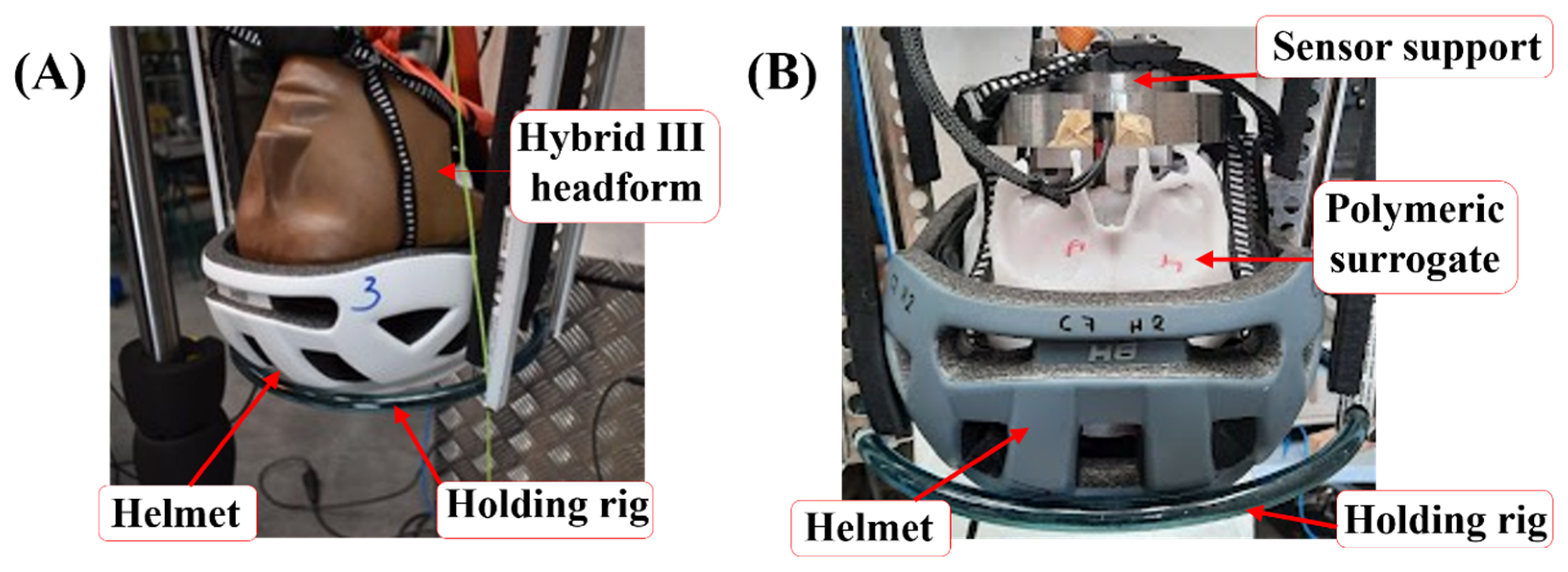 Polymers 16 01753 g002