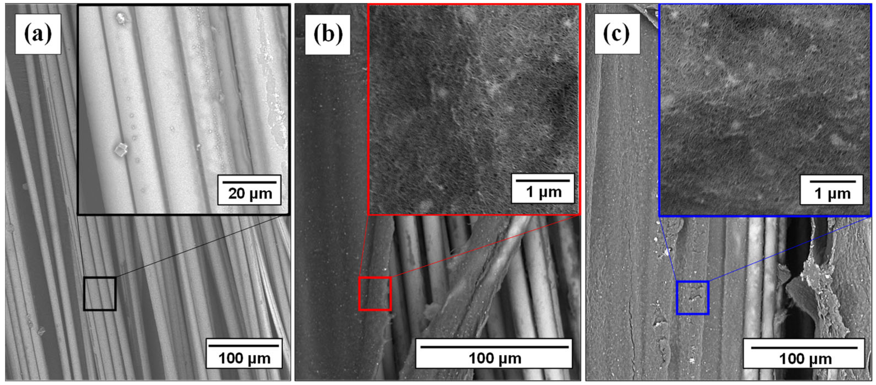 Polymers 16 01754 g002