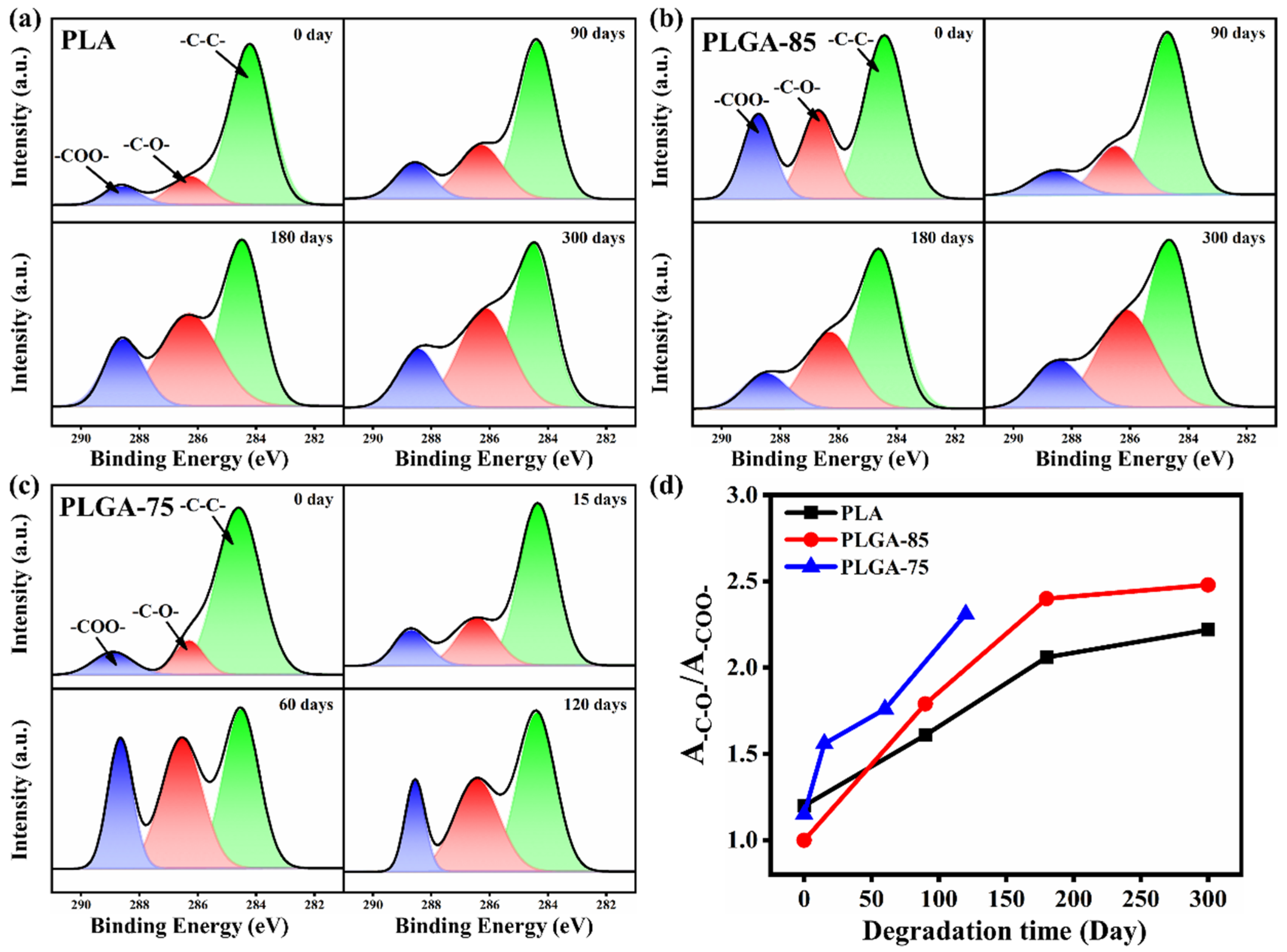 Polymers 16 01765 g006