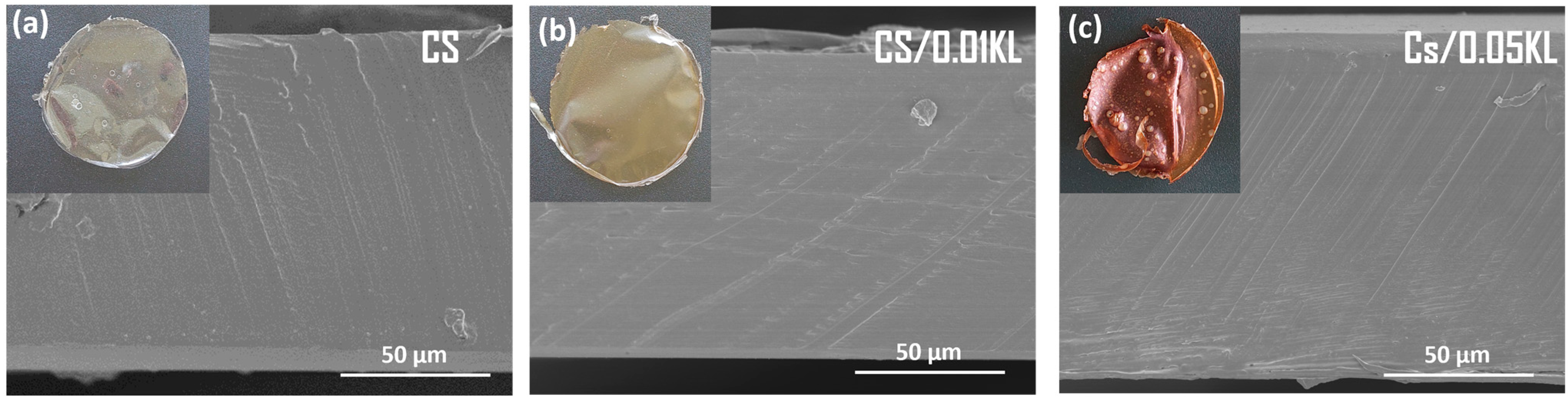 Polymers 16 01766 g002