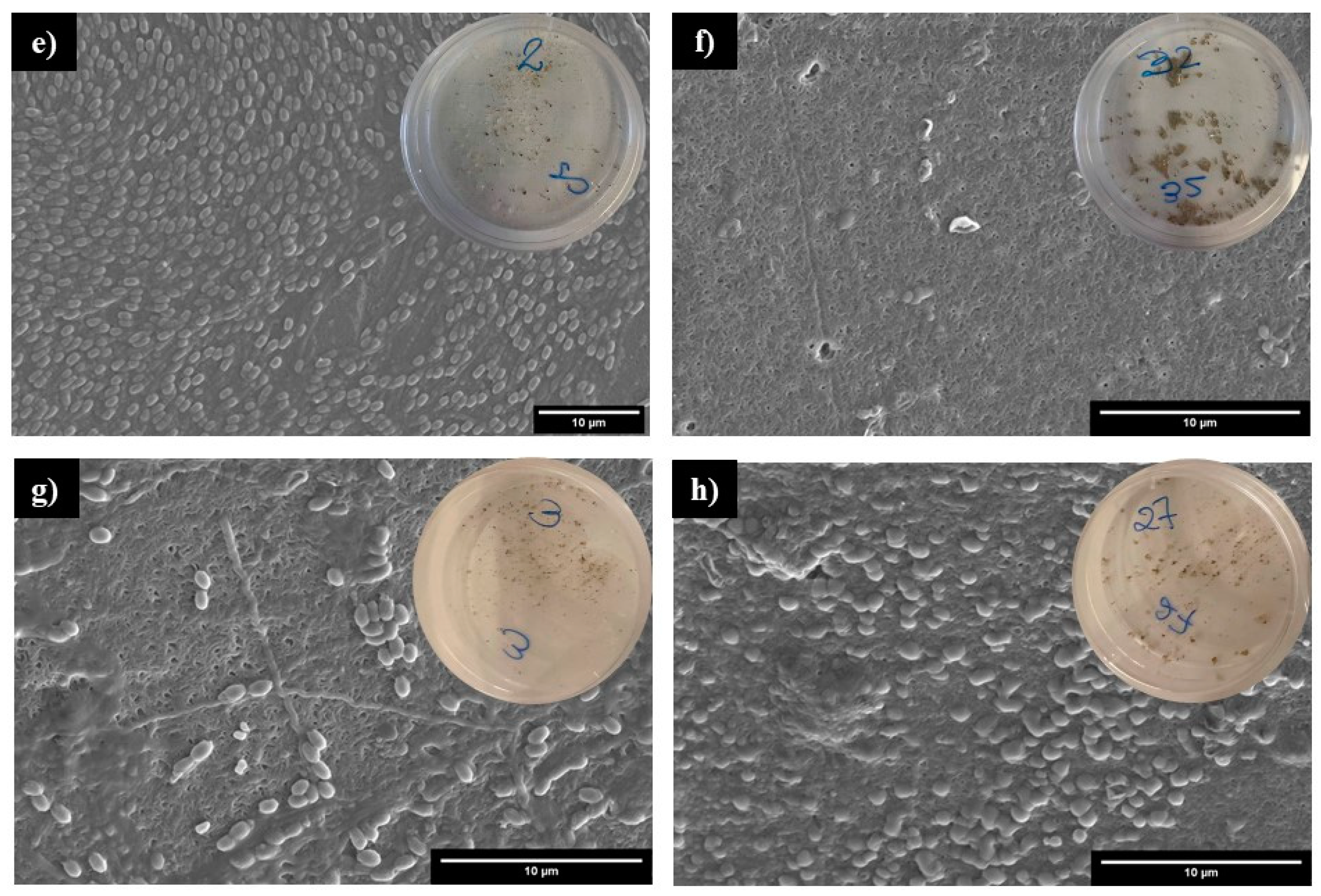 Polymers 16 01772 g006b