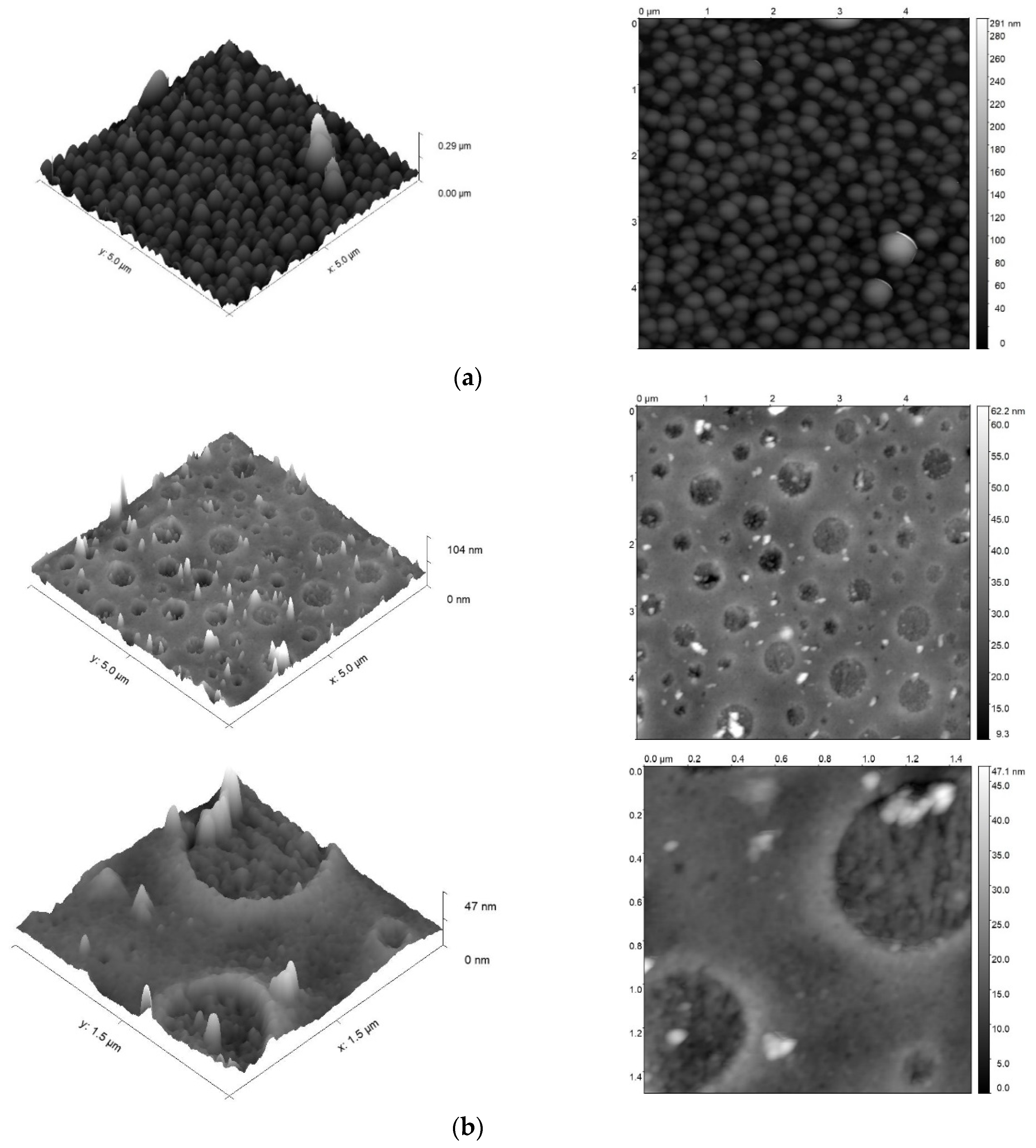 Polymers 16 01773 g013