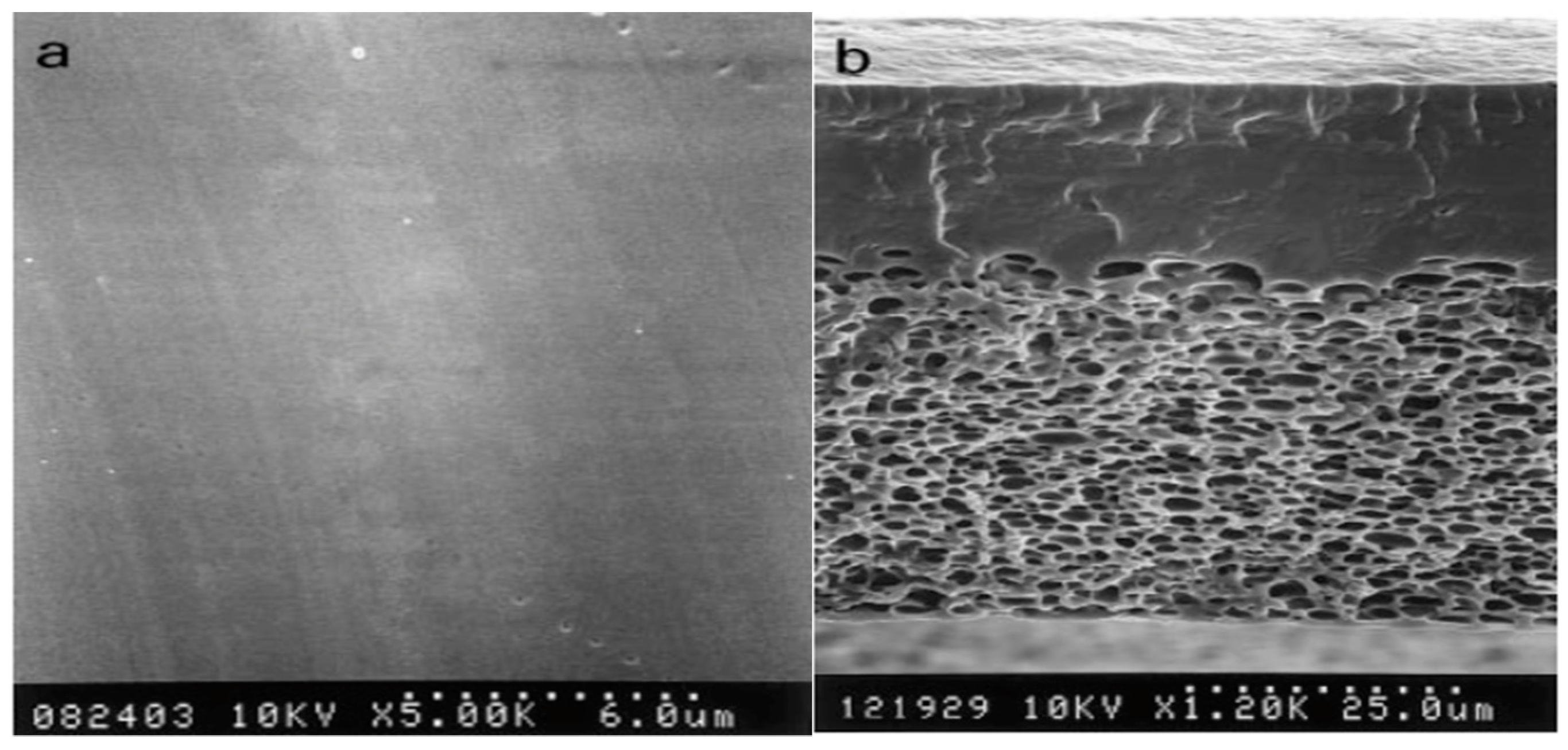 Polymers 16 01775 g003