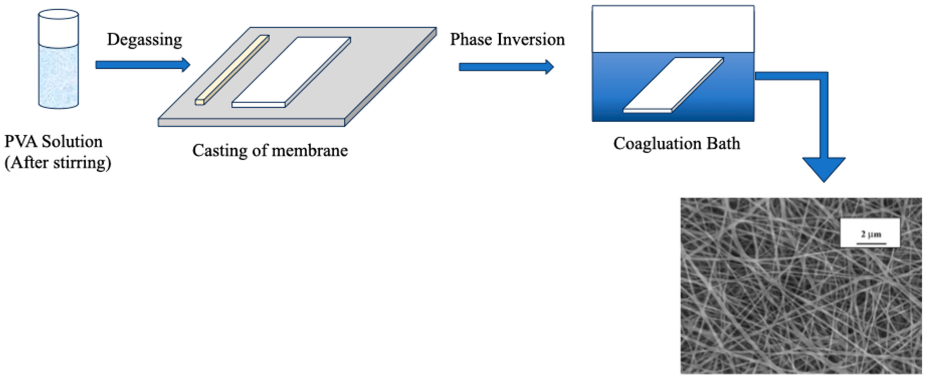 Polymers 16 01775 g009