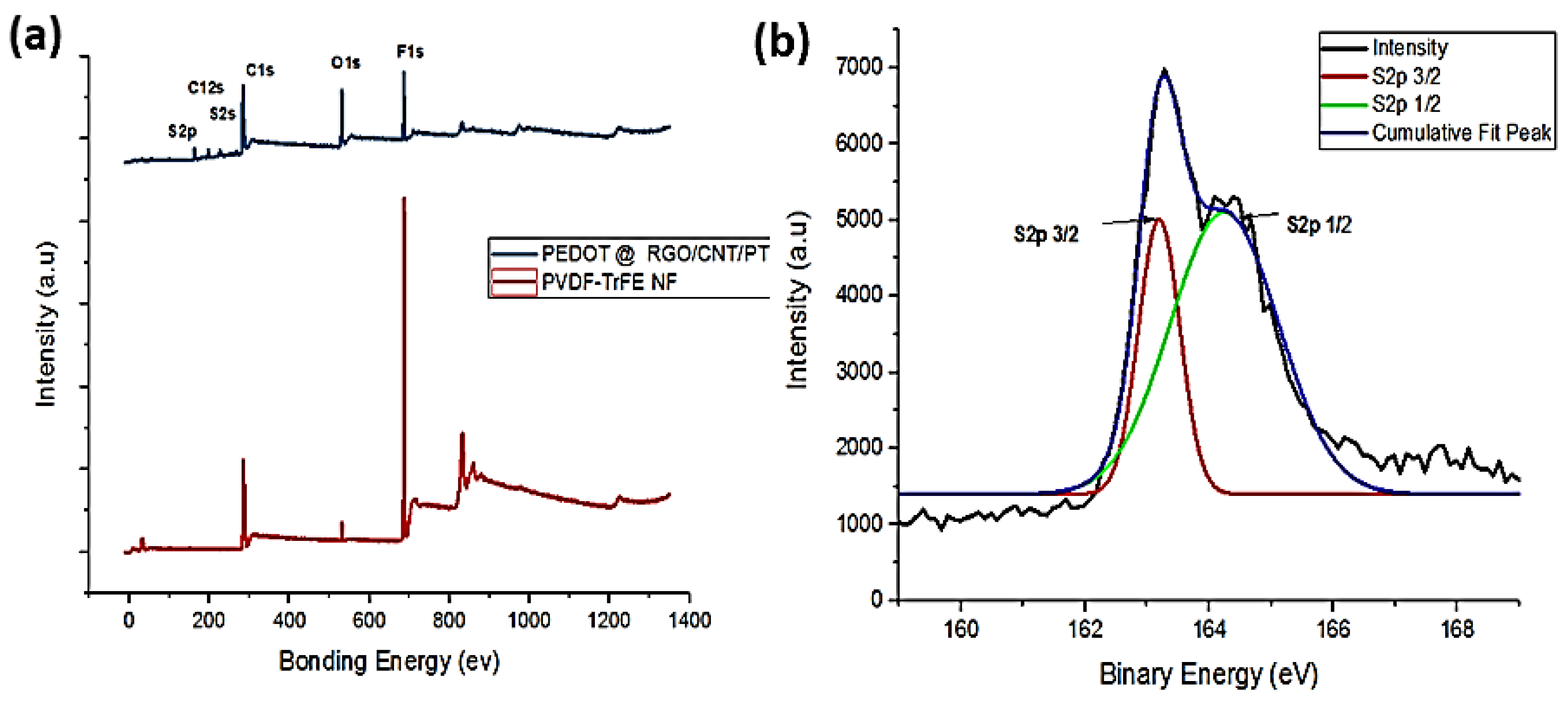 Polymers 16 01781 g004 Polymers 16 01781 g004