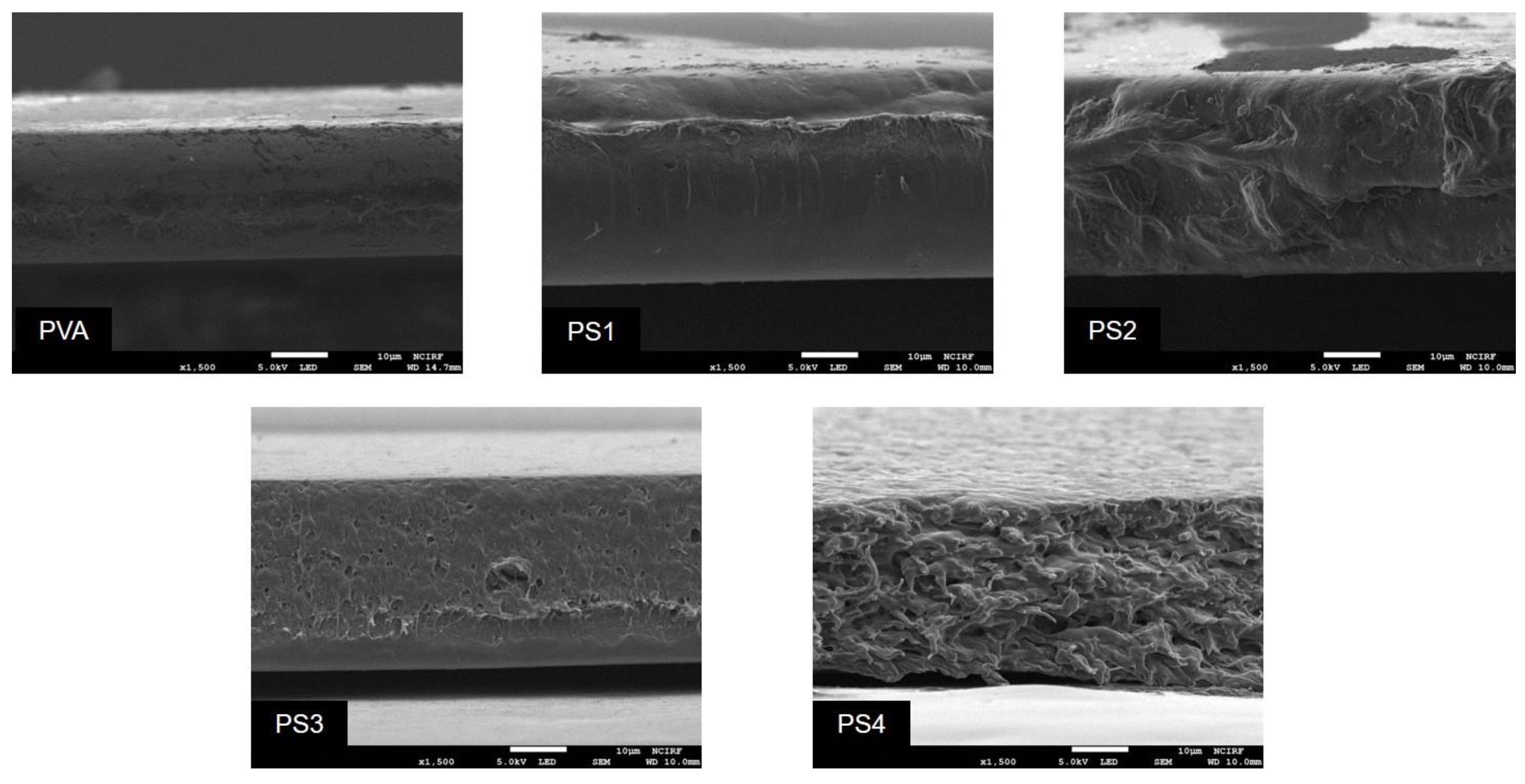 Polymers 16 01783 g007