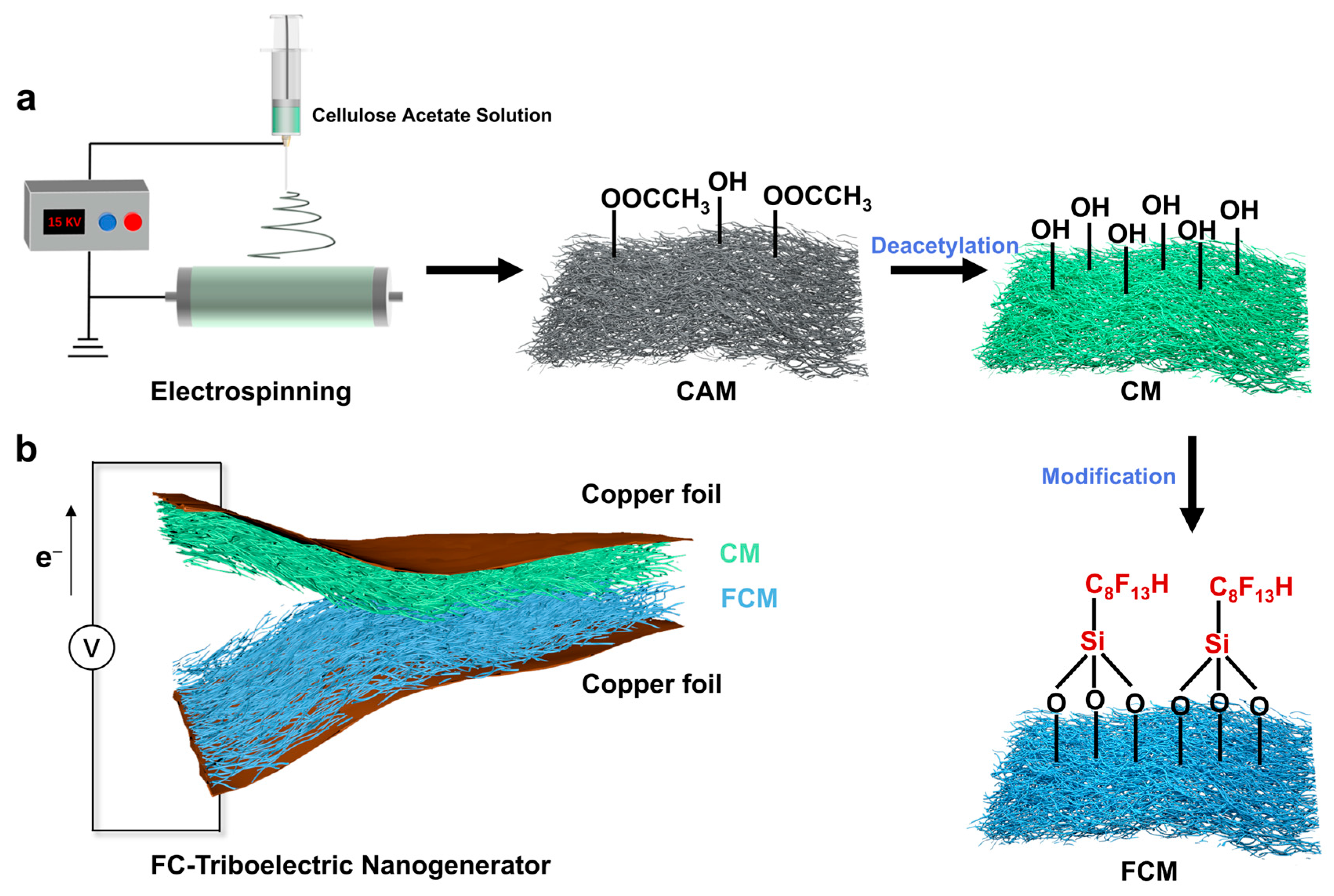 Polymers 16 01784 g001