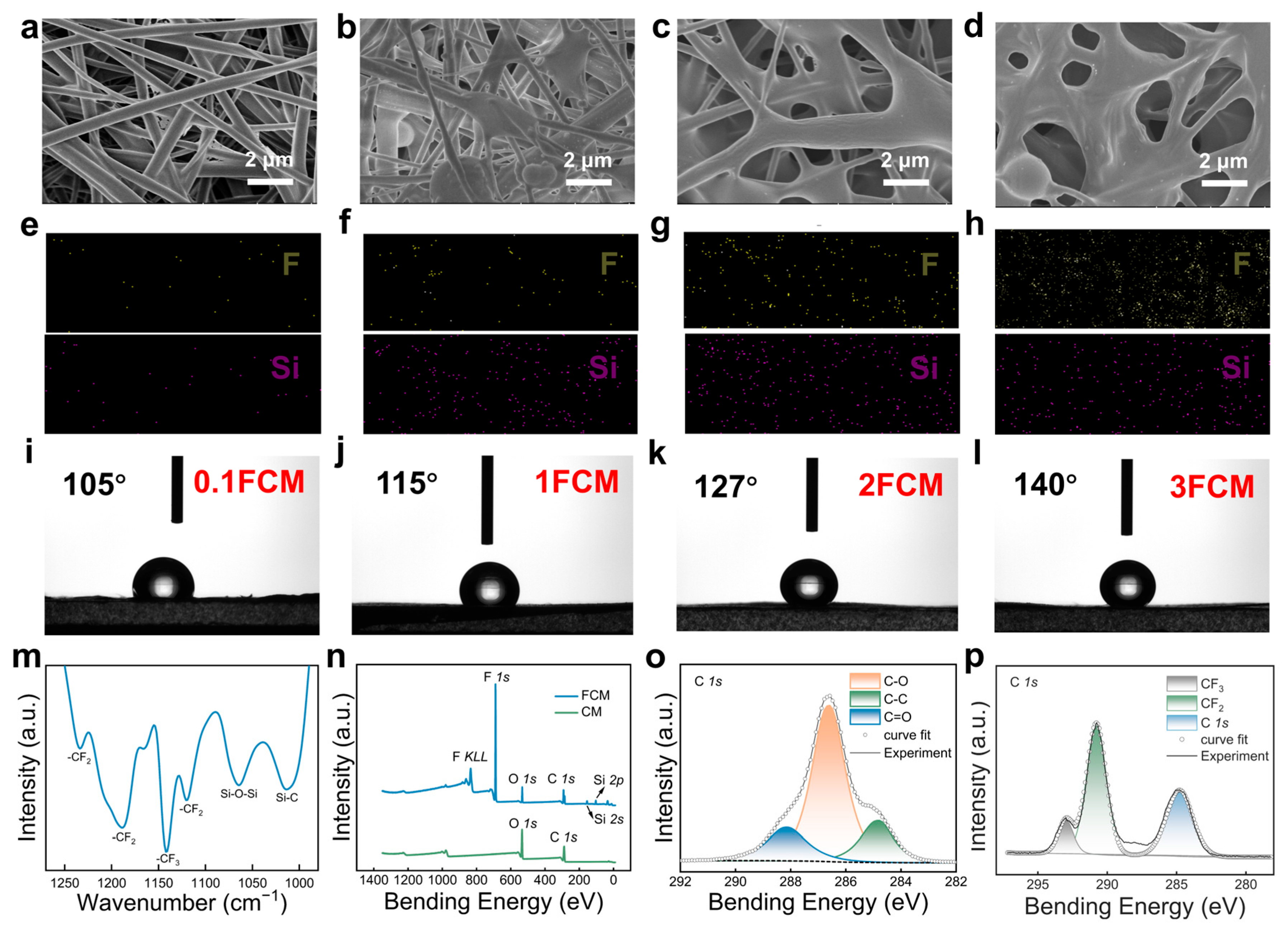 Polymers 16 01784 g003