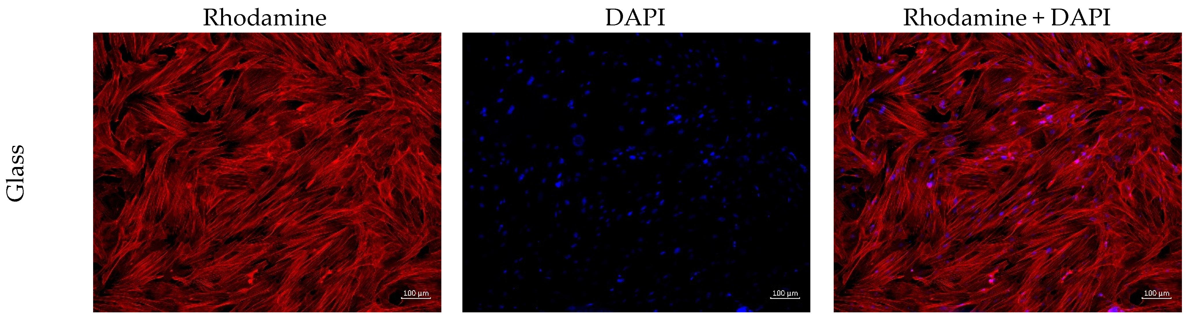 Polymers 16 01787 g005a