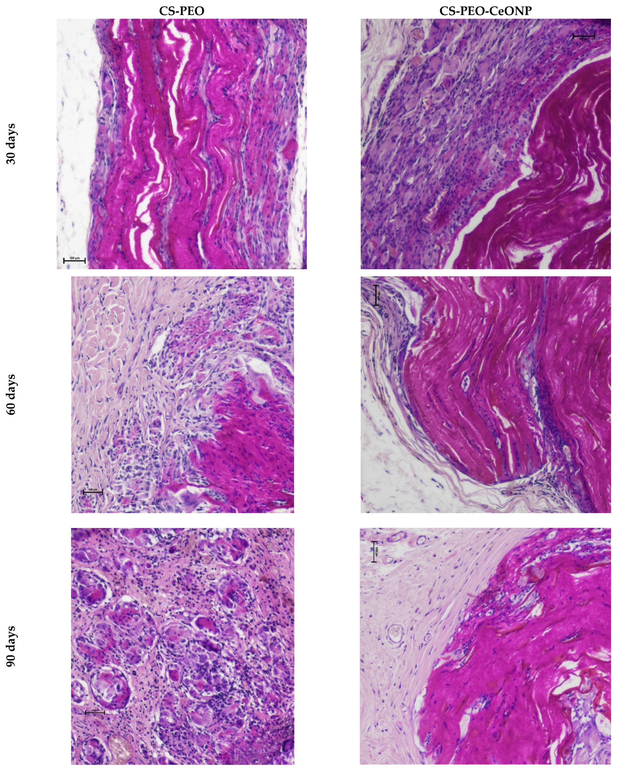 Polymers 16 01787 g009