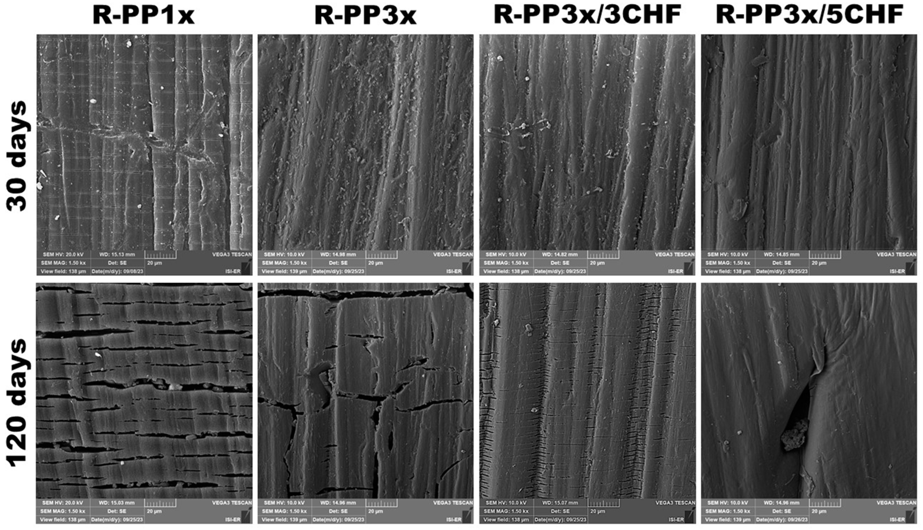 Polymers 16 01788 g005