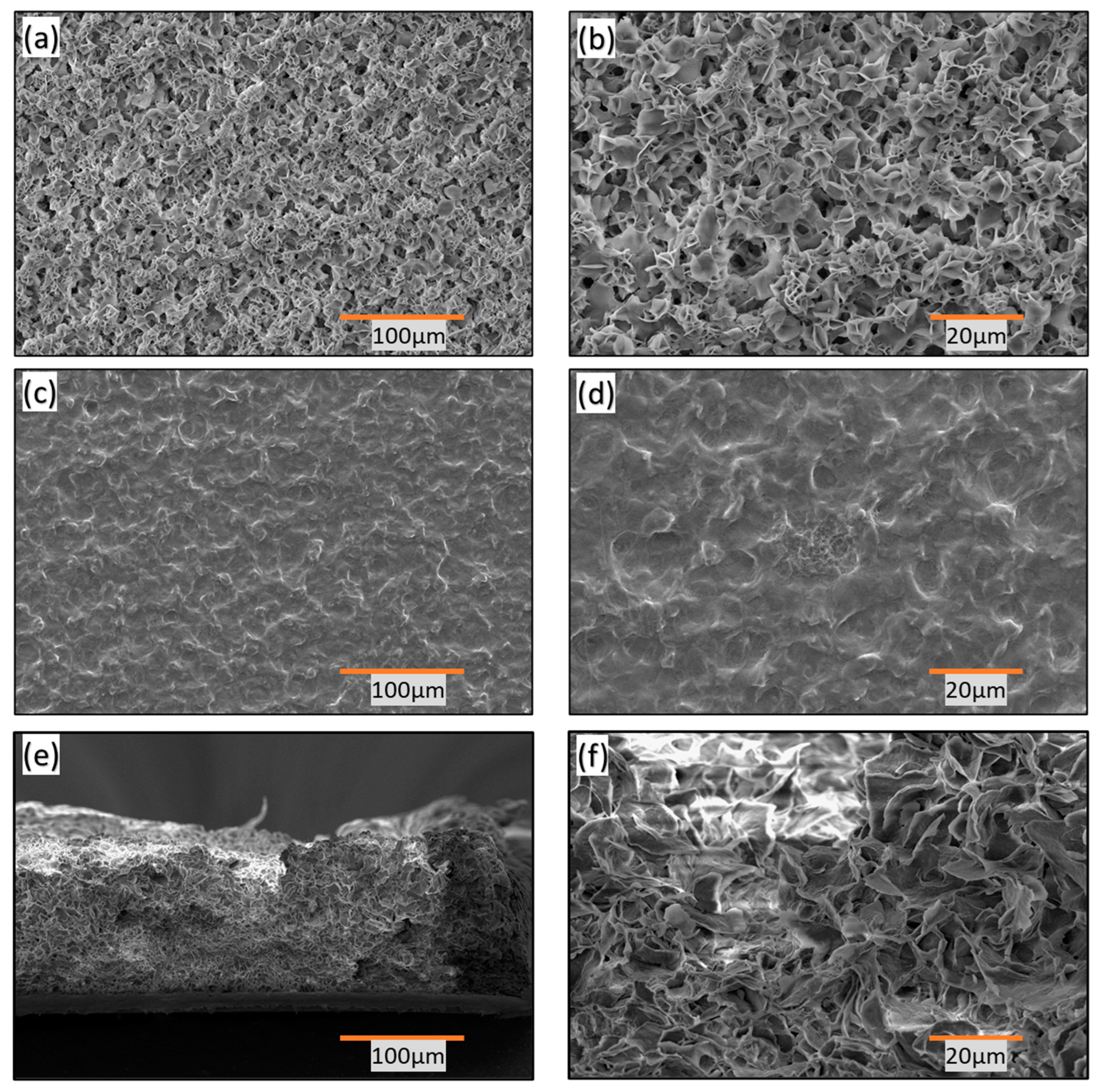 Polymers 16 01791 g003