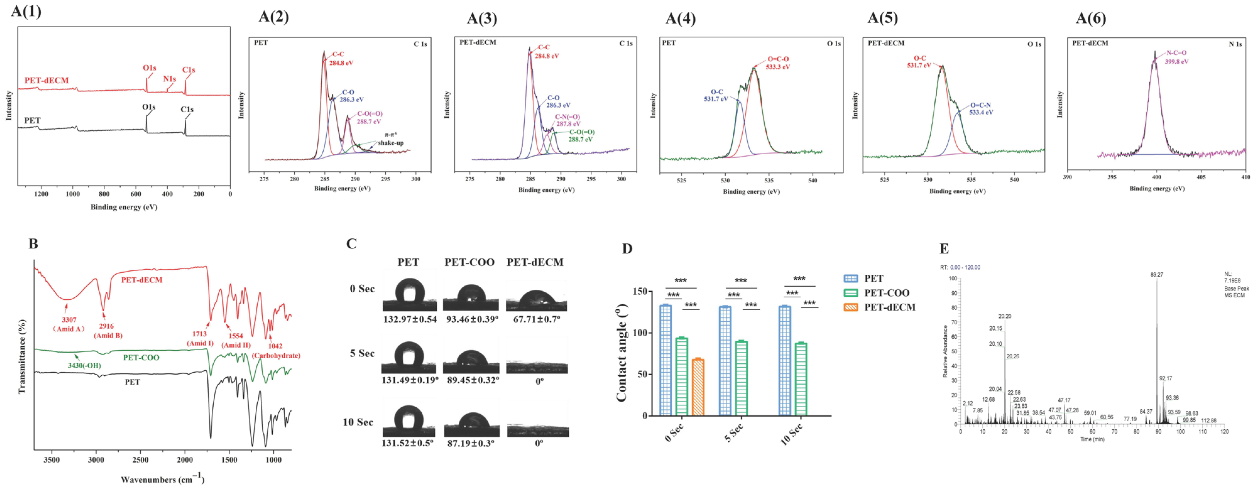 Polymers 16 01794 g002
