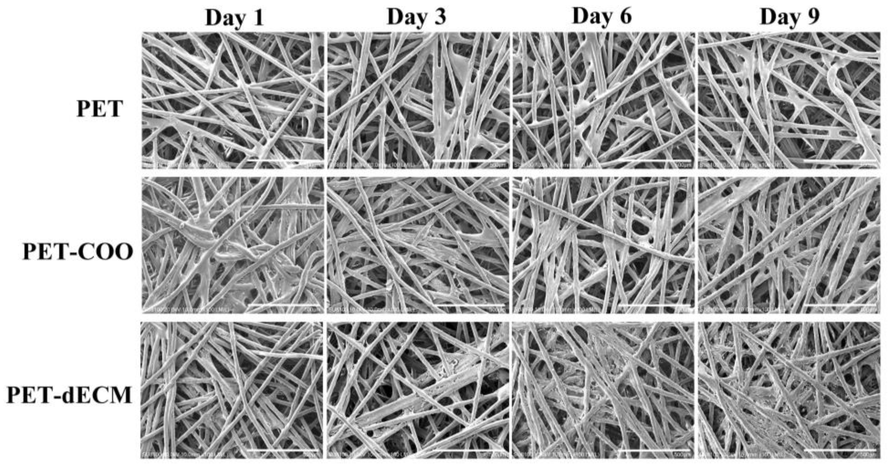 Polymers 16 01794 g003