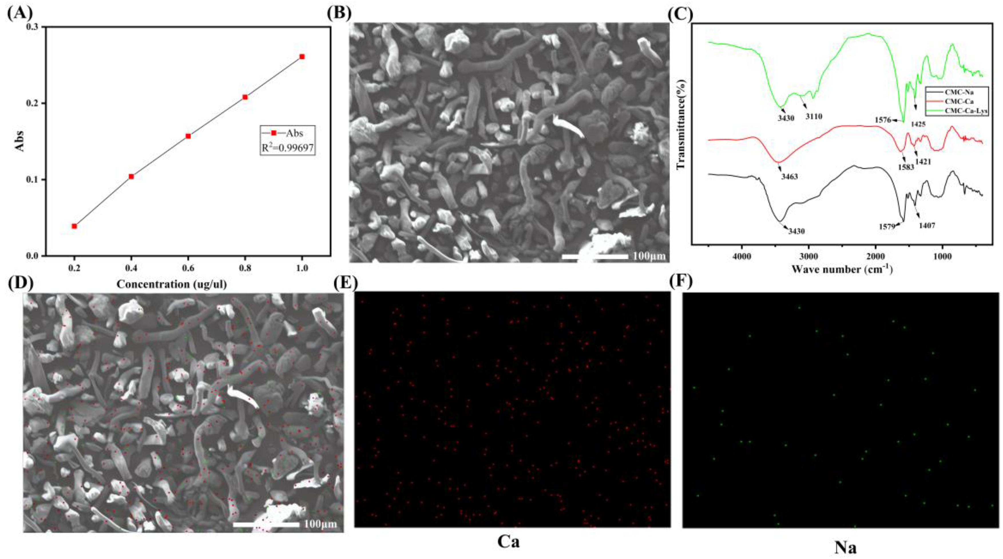Polymers 16 01795 g001