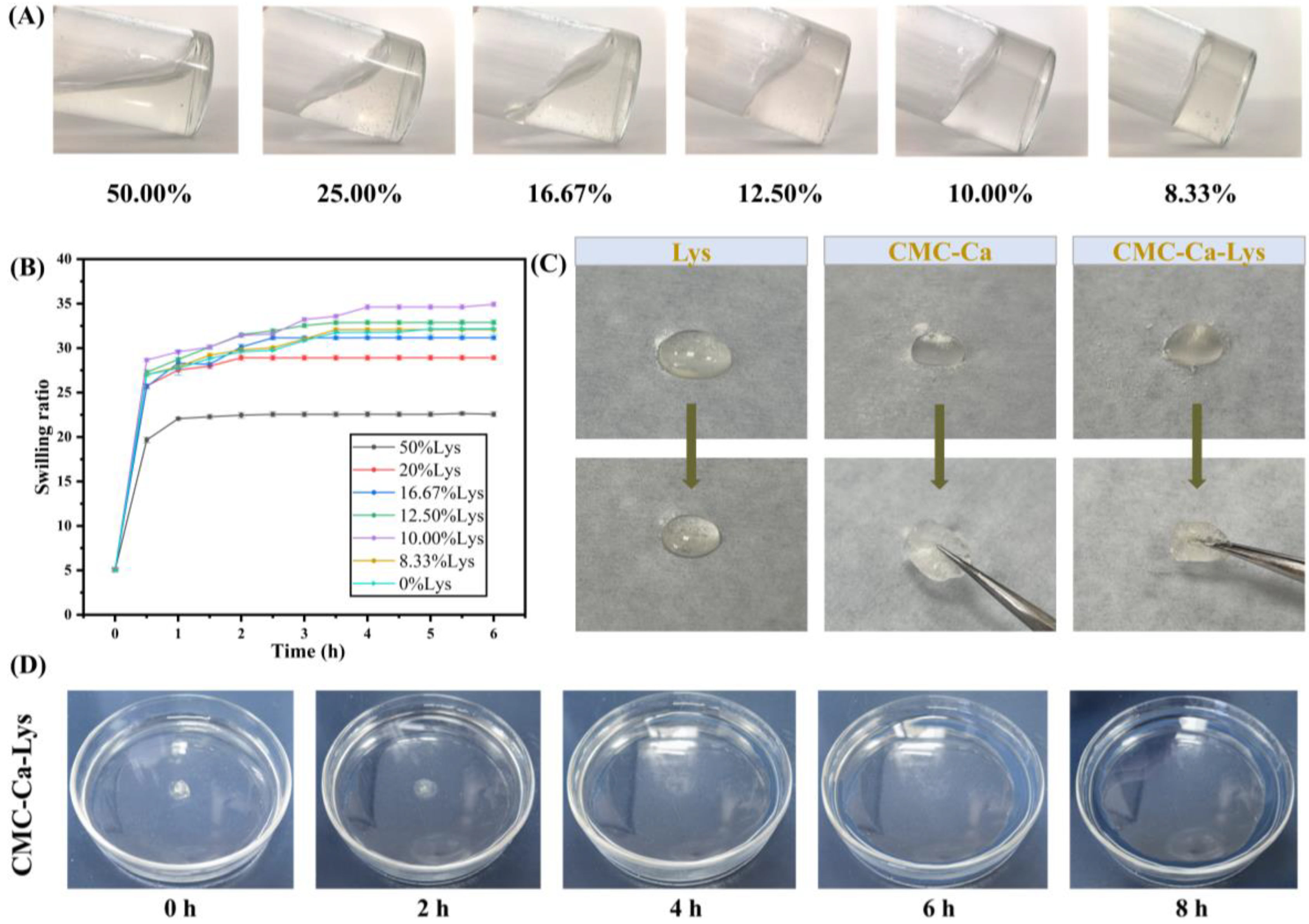 Polymers 16 01795 g002