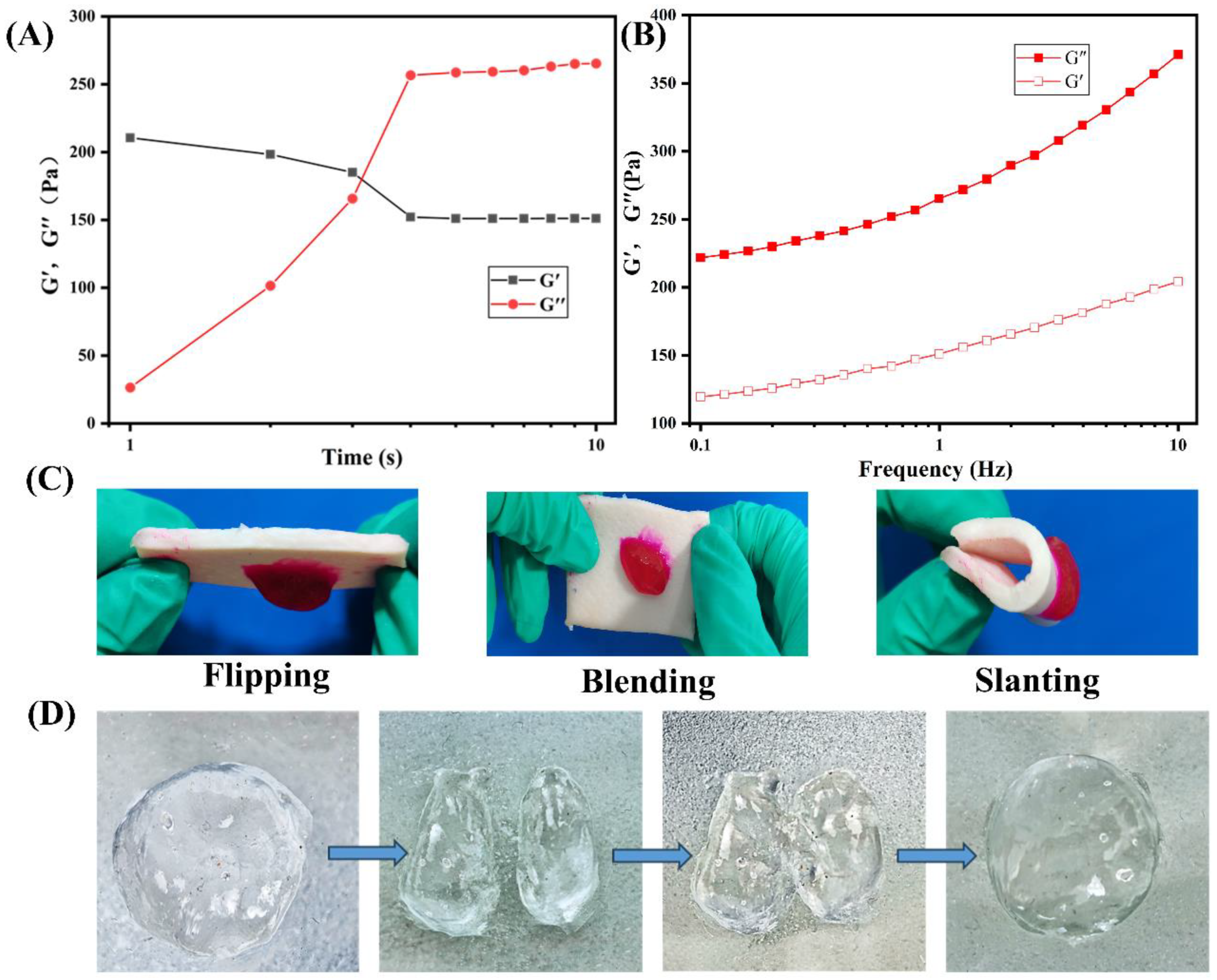 Polymers 16 01795 g003