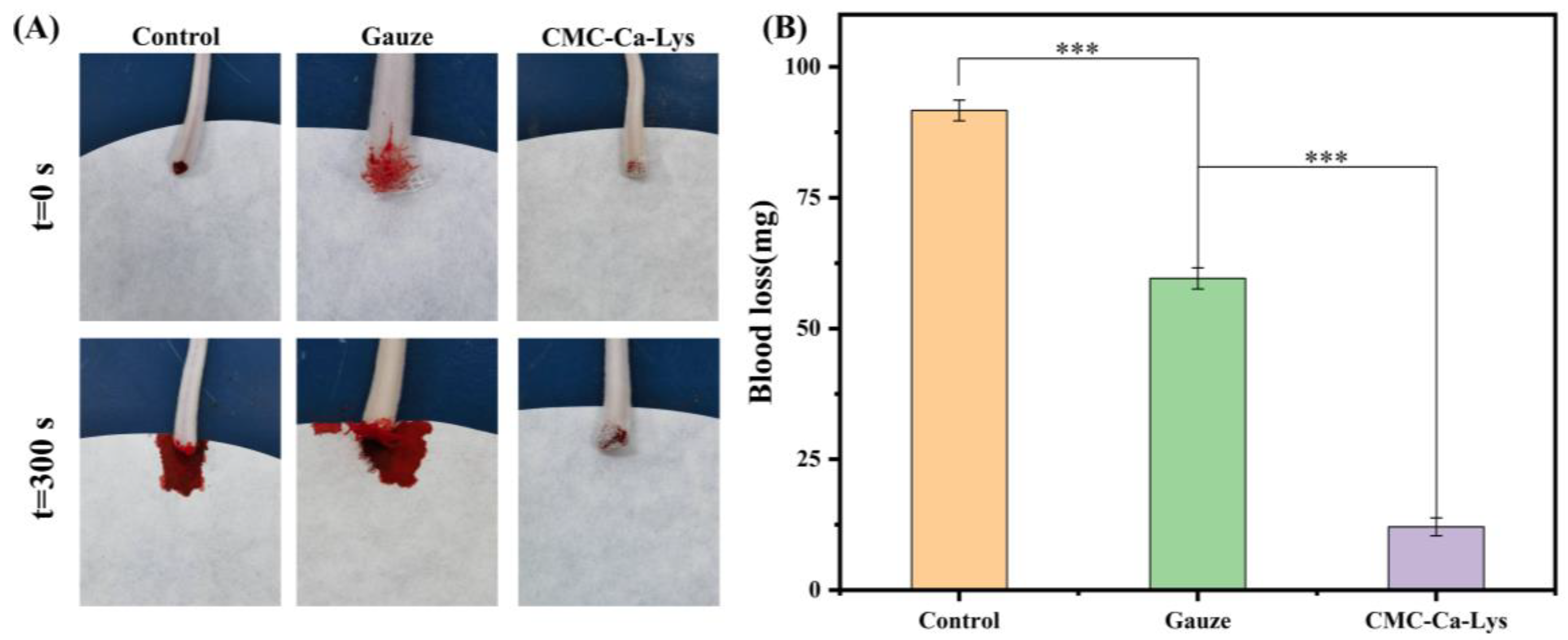 Polymers 16 01795 g005