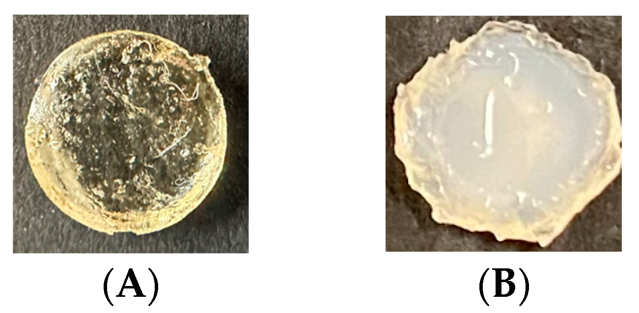 Polymers 16 01797 g004 Polymers 16 01797 g004